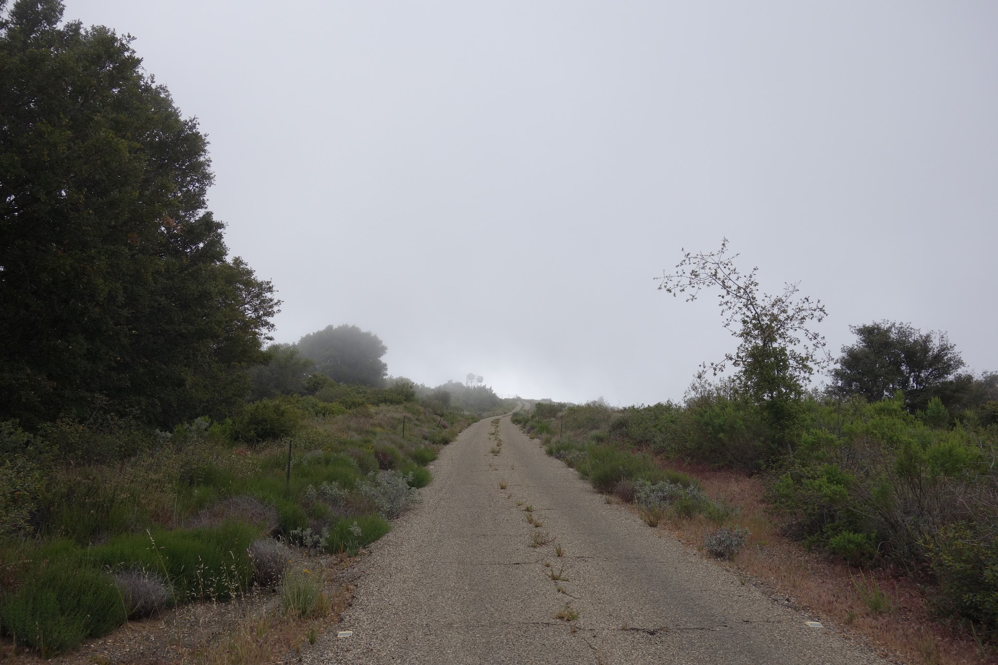 Climbing to top of Refugio Bike Climb - W. Camino Cielo - finish