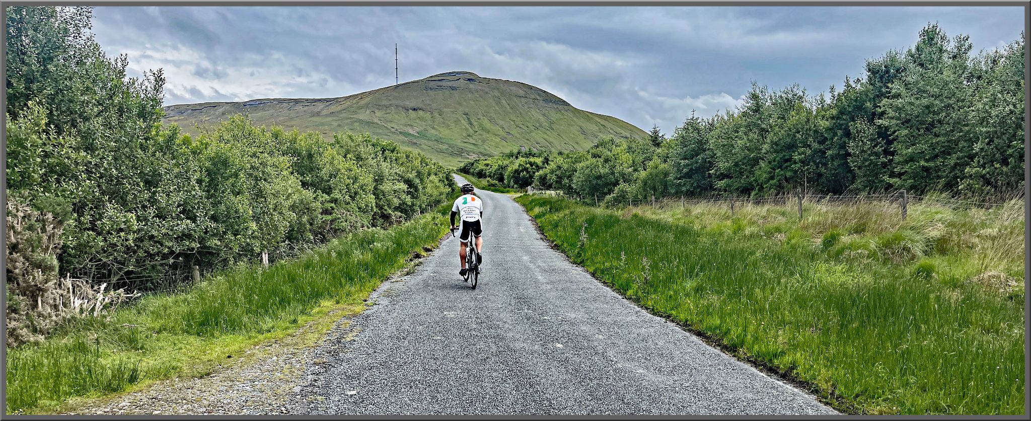 PJAMM Cyclist rides on straight segment of roadway toward hillside in the distance; road is edged by dense shrubbery