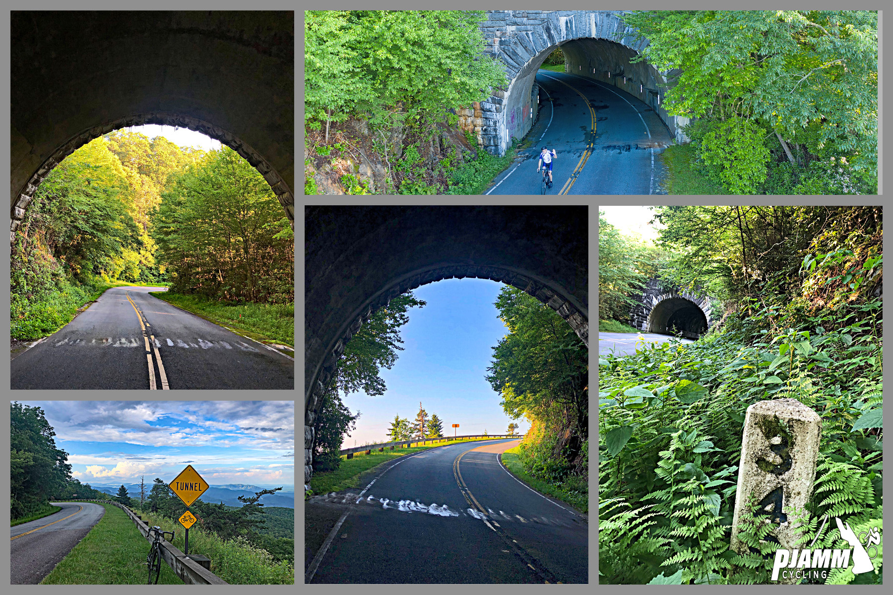 Cycling Mt. Mitchell by bike - photo collage, stone tunnel, road, road sign for tunnel, ferns and foliage