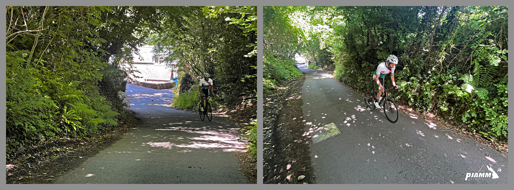 PJAMM Cyclist rides through tree tunnel