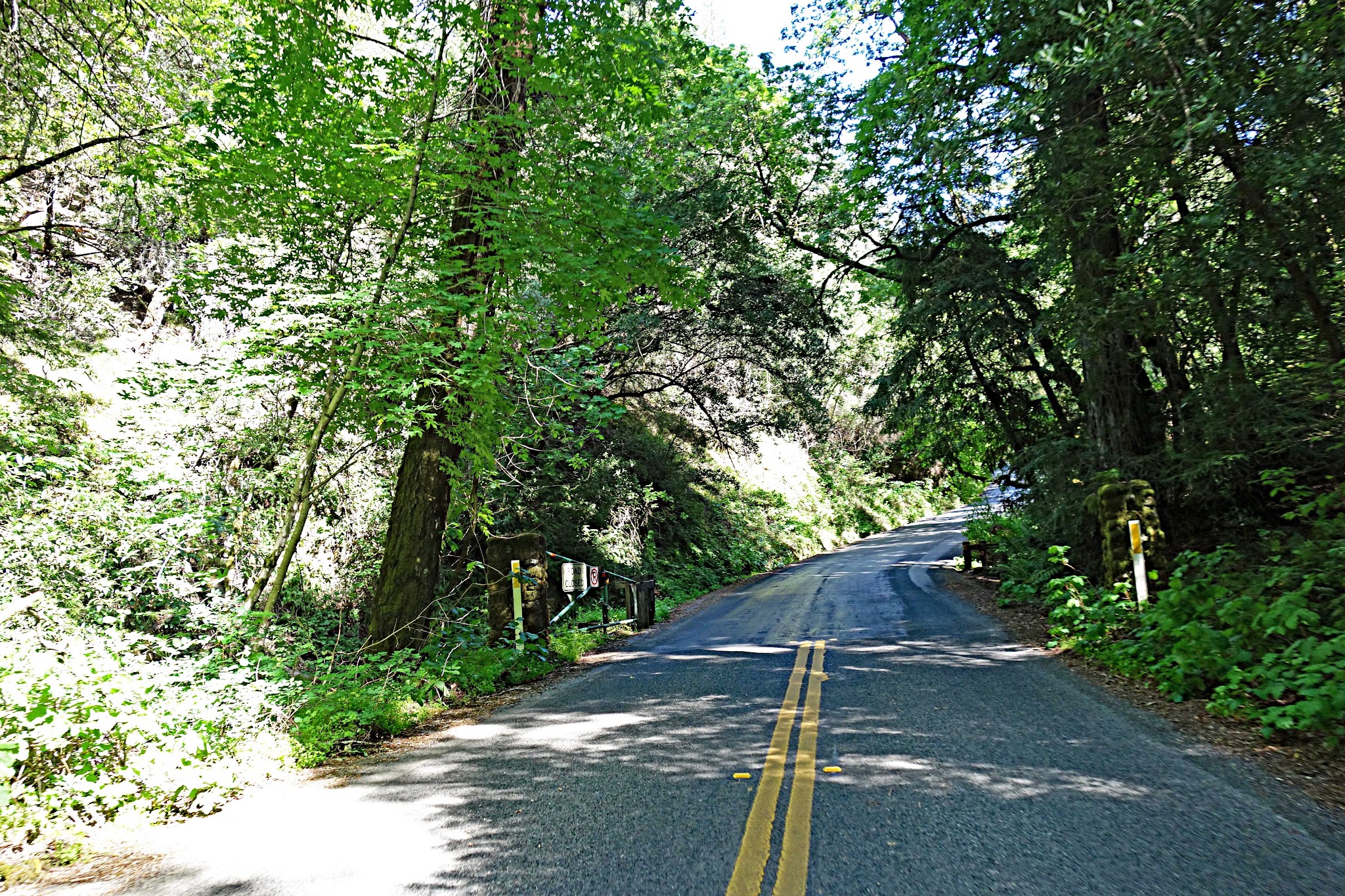 Bike climb to Bald Mountain - road and forest - start of climb