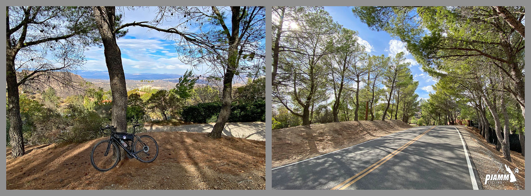 Cycling decker Road to Yerba Buena high point - bike parked under tree in brief alpine setting at the end of mountain ridgeline