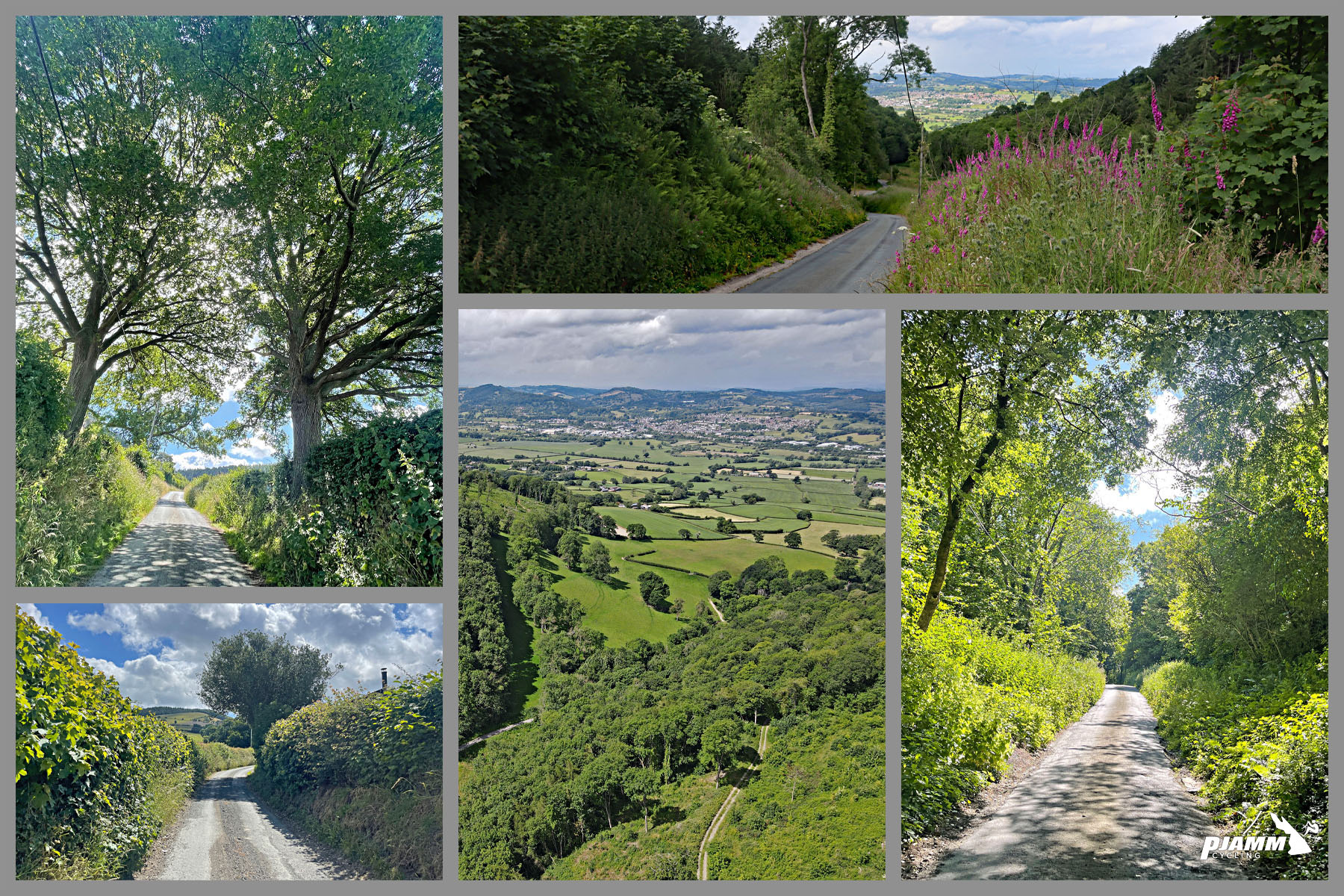 photo collage shows views along the climb, including tree and hedge-lined roadway, pasturelands