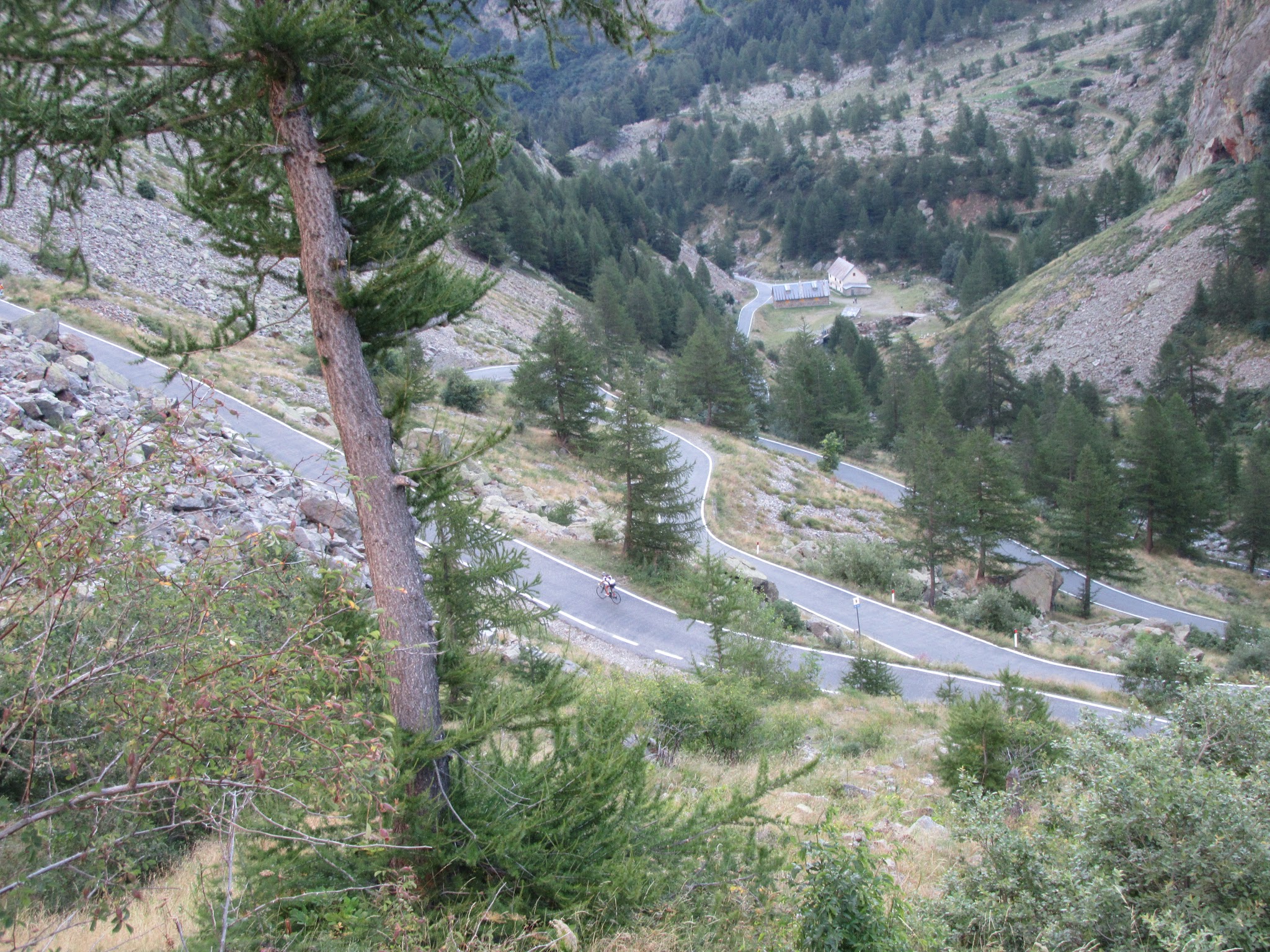 IMG_4641.JPG