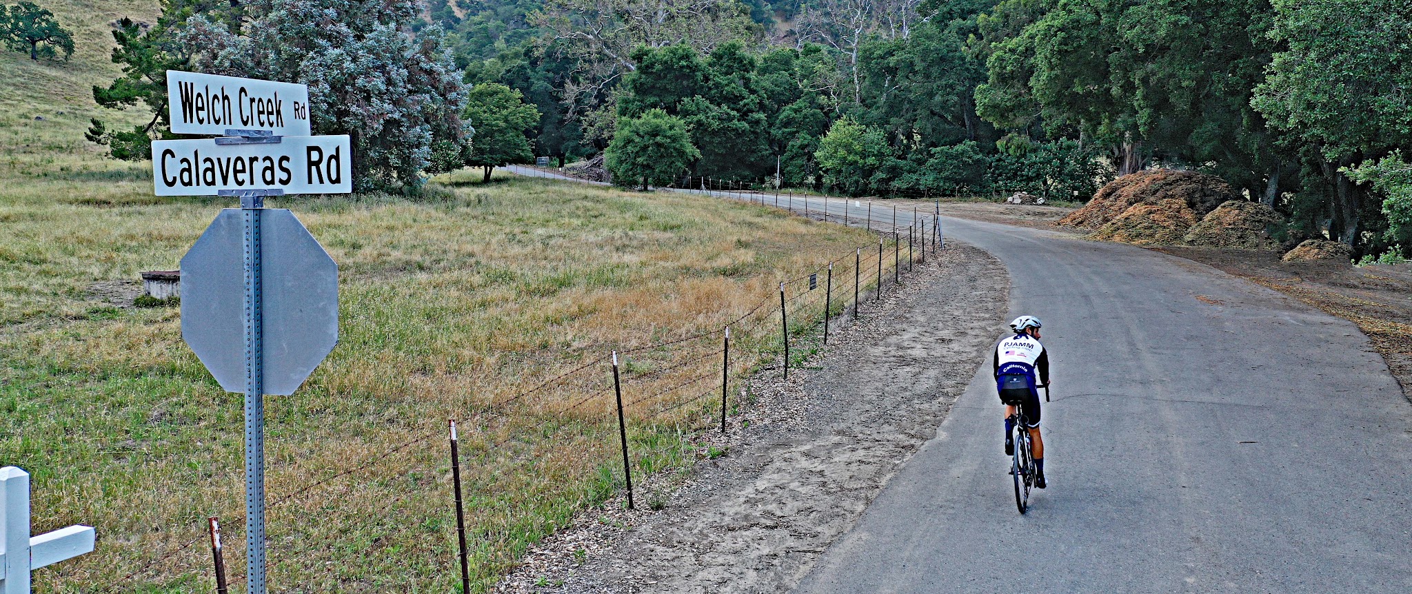 Bike climb Welch Creek Road - one lane road sign, roadway and oak trees
