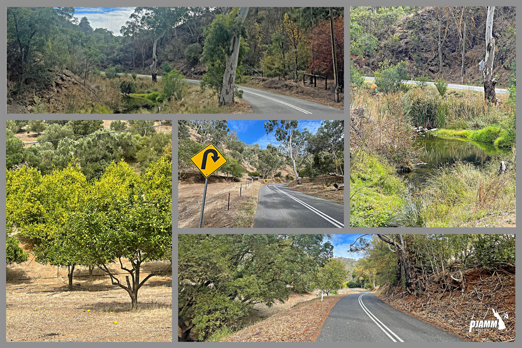 views along the climb, including lots of green trees and brush