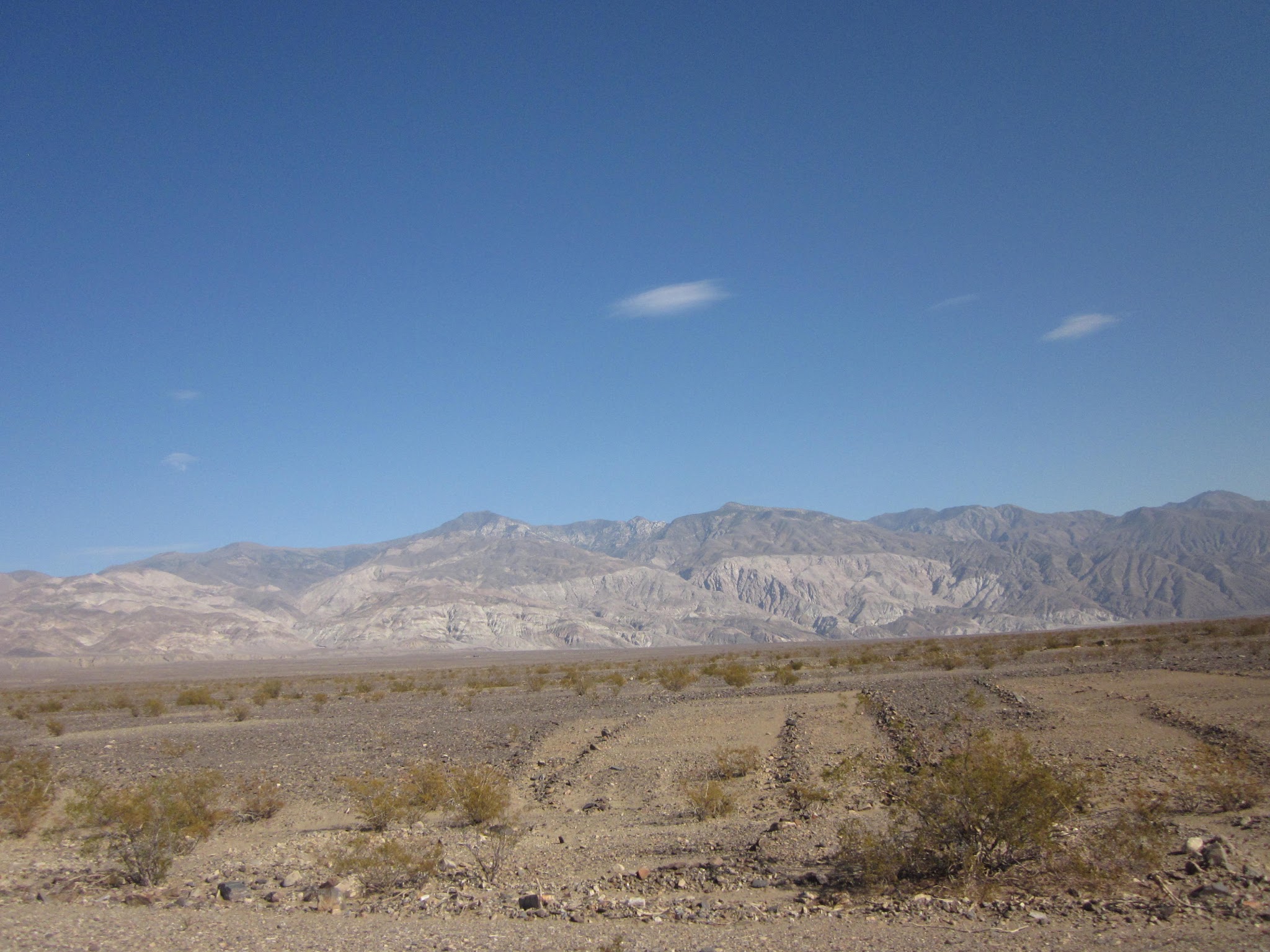 IMG_1556.JPG