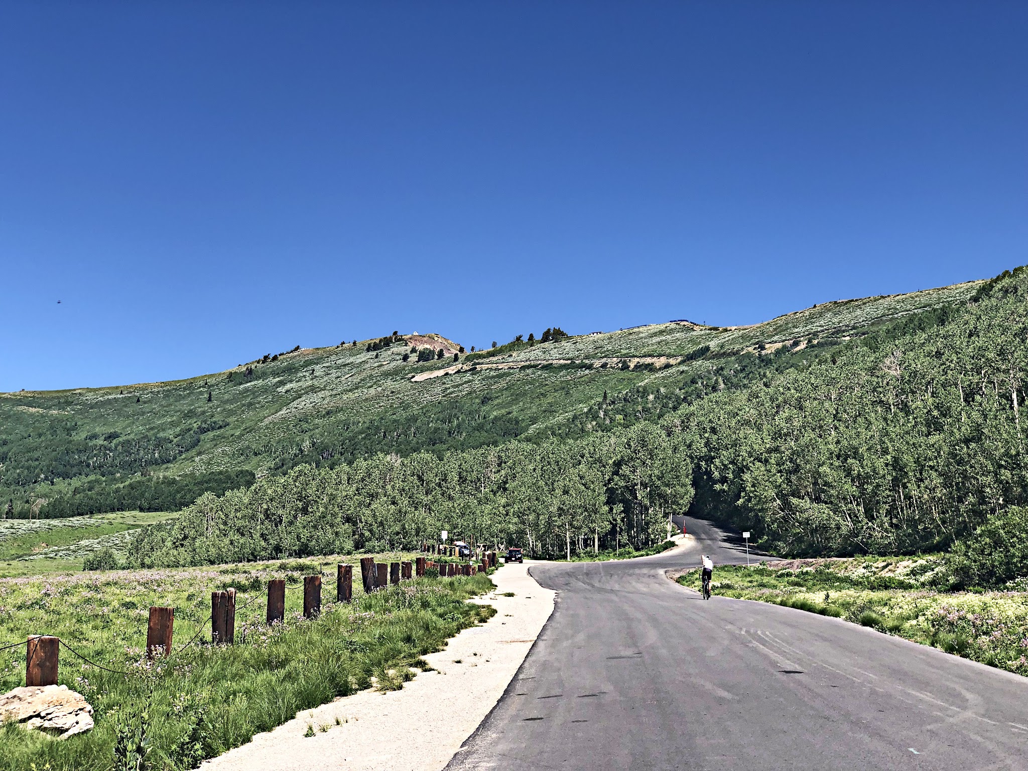 Views southeast of forest towards Midway from Guardsman Pass. 
