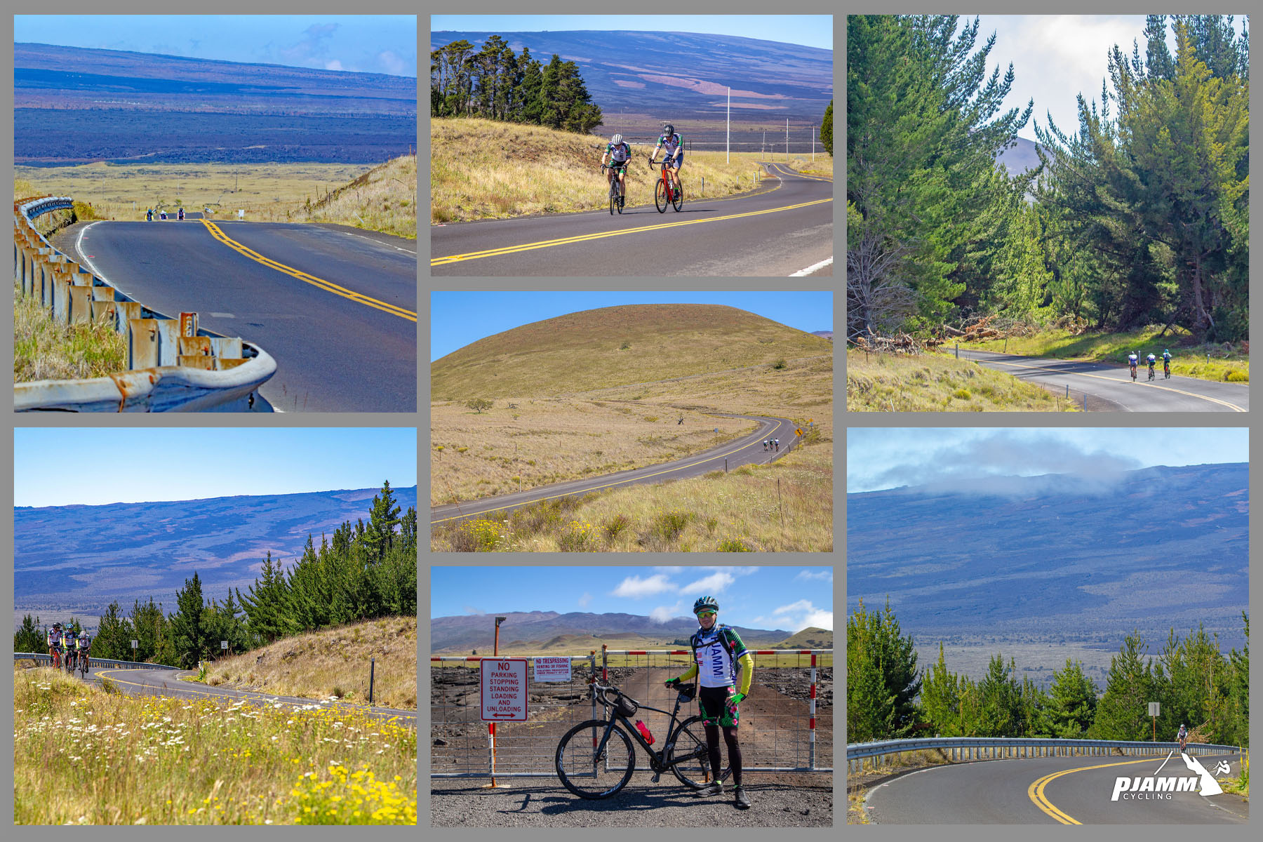 photo collage shows bare hillsides for most of this segment, other than two pockets of conifers