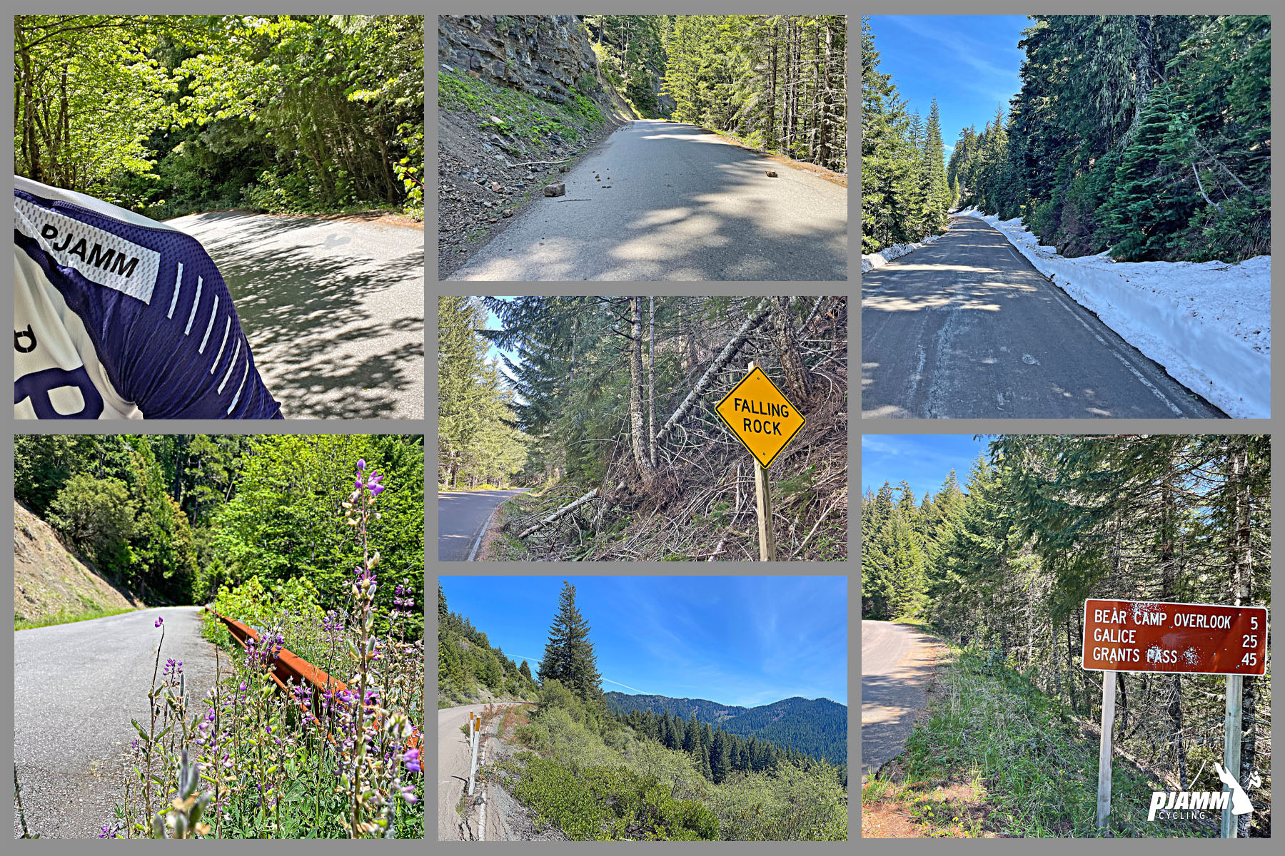 Views along the climb including alpine setting, wildflowers, sign for falling rock, snow lined roadway