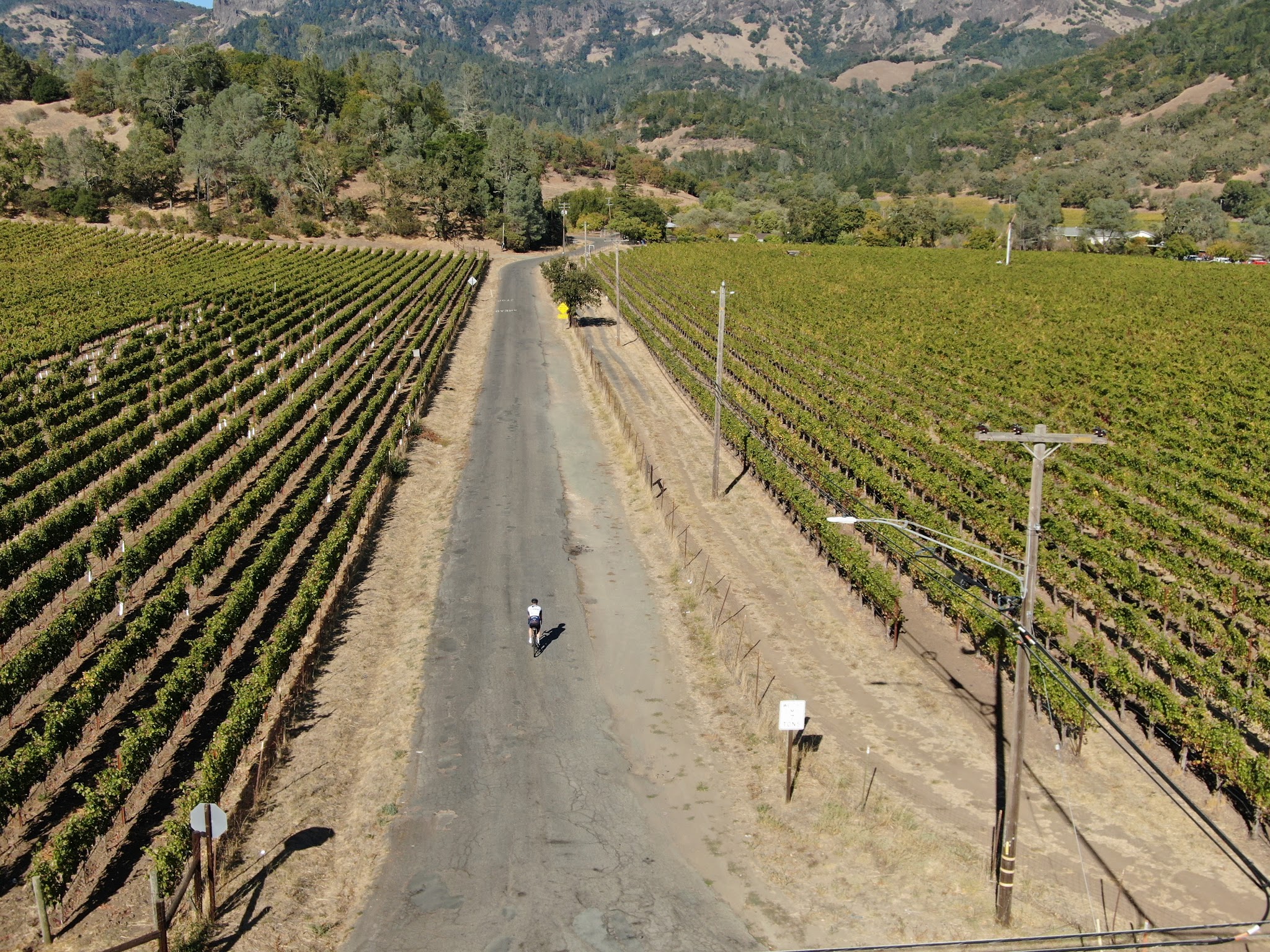 Bike climb Mt. St. Helena - start at Old Lawley Toll Road - street, vineyards, sign