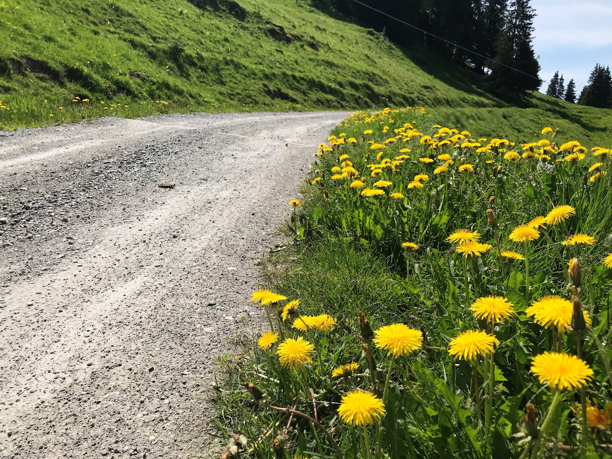 Climbing Rionda by bicycle - beginning of gravel section