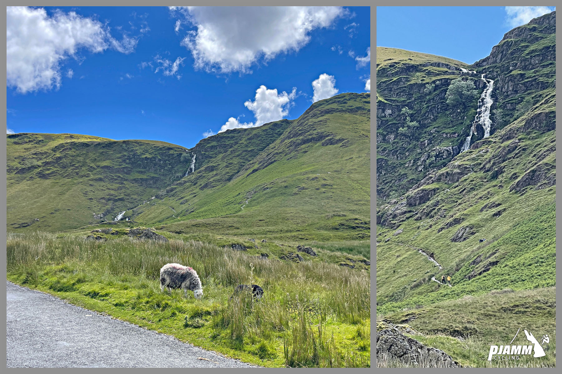 climb end at the Moss Force Waterfall, green grass, sheep grazing on roadside