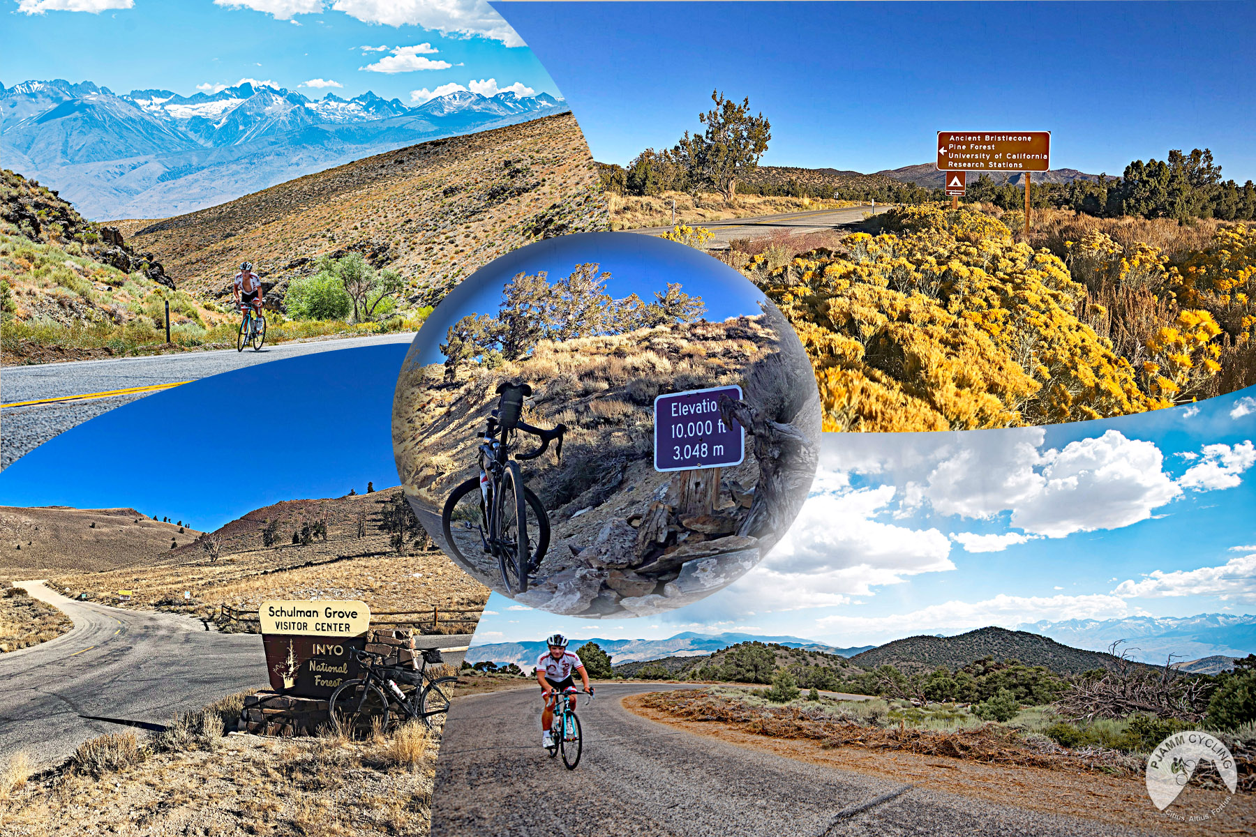 Cycling White Mountain, California Cycling White Mountain, California - photo collage, cyclist riding on paved roadway, high desert landscape, sign for Inyo National Forest, Elevation sign reads 10,000 feet, PJAMM Cycling logo in corner
