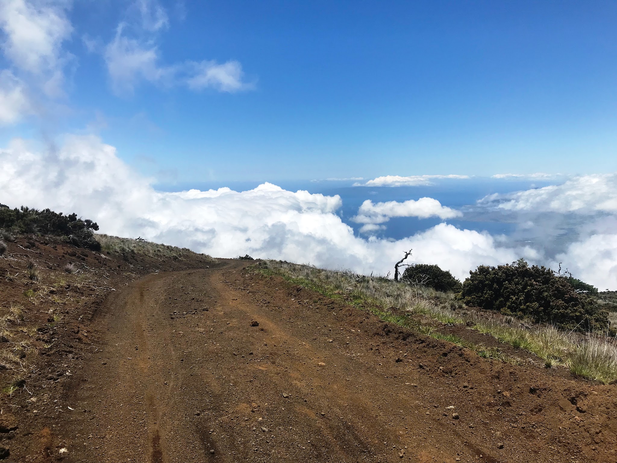 Cycling Skyline Trial to Haleakala