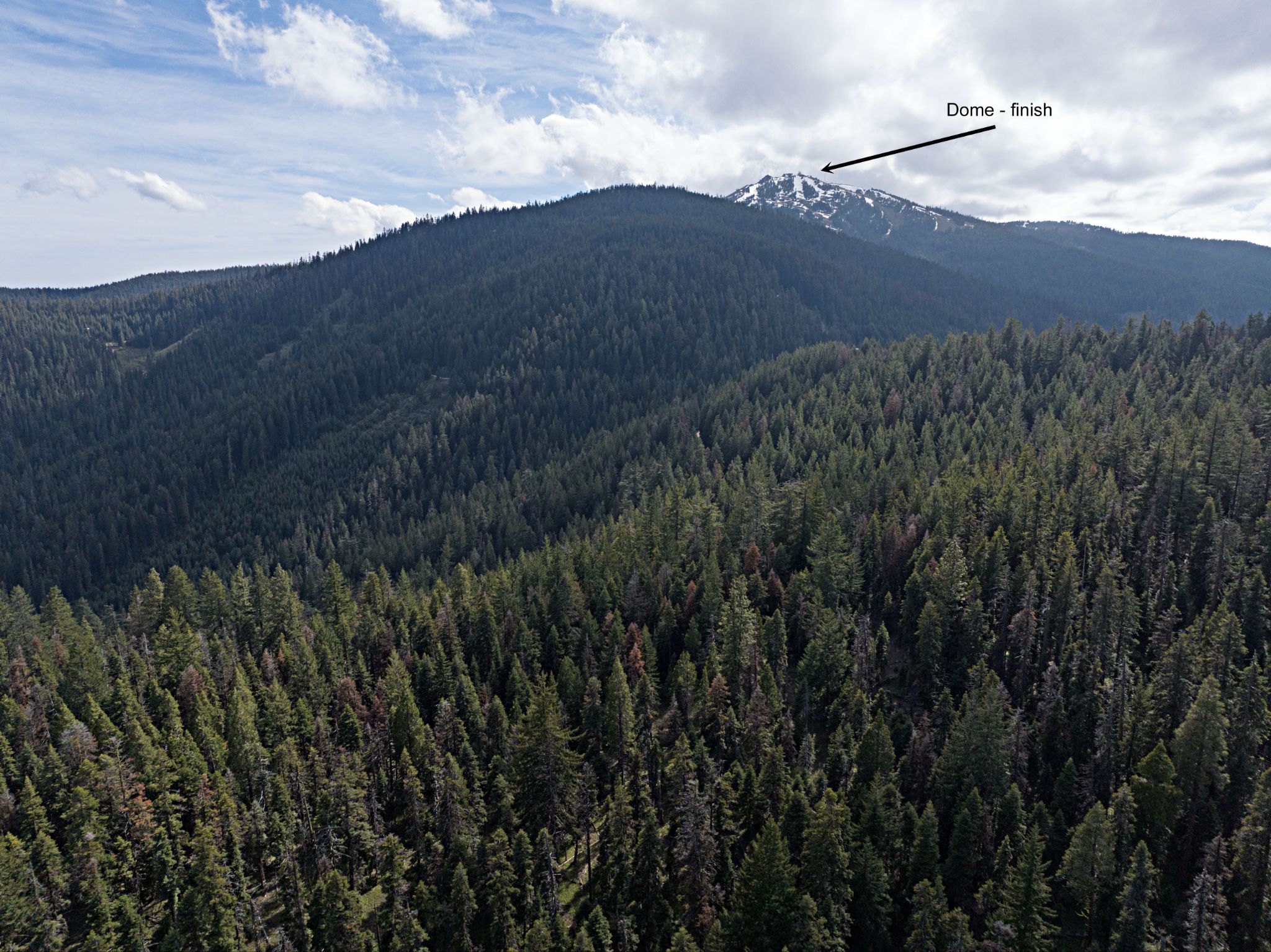 Cycling Mt. Ashland, Oregon via Loop Road: panoramic, sweeping view of dense pine tree forestation covering mountains, in the far distance the National Weather Service dome can barely be seen atop Mt. Ashland, climb's finish