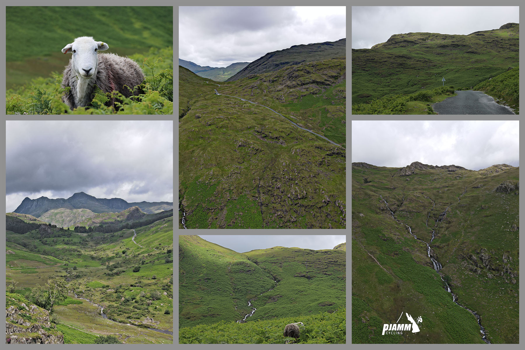 photo collage shows hillsides and landscape in green during July, sheep grazing in heather
