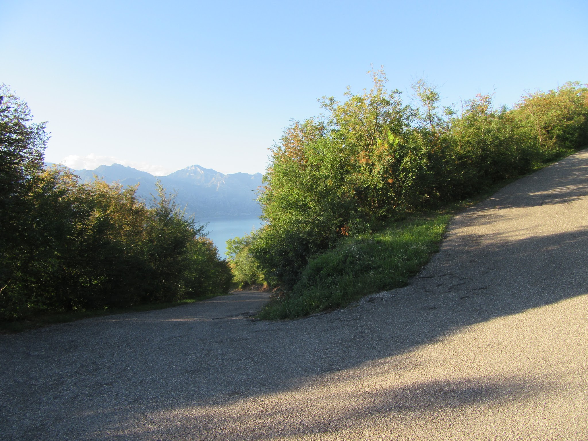 IMG_4759.JPG