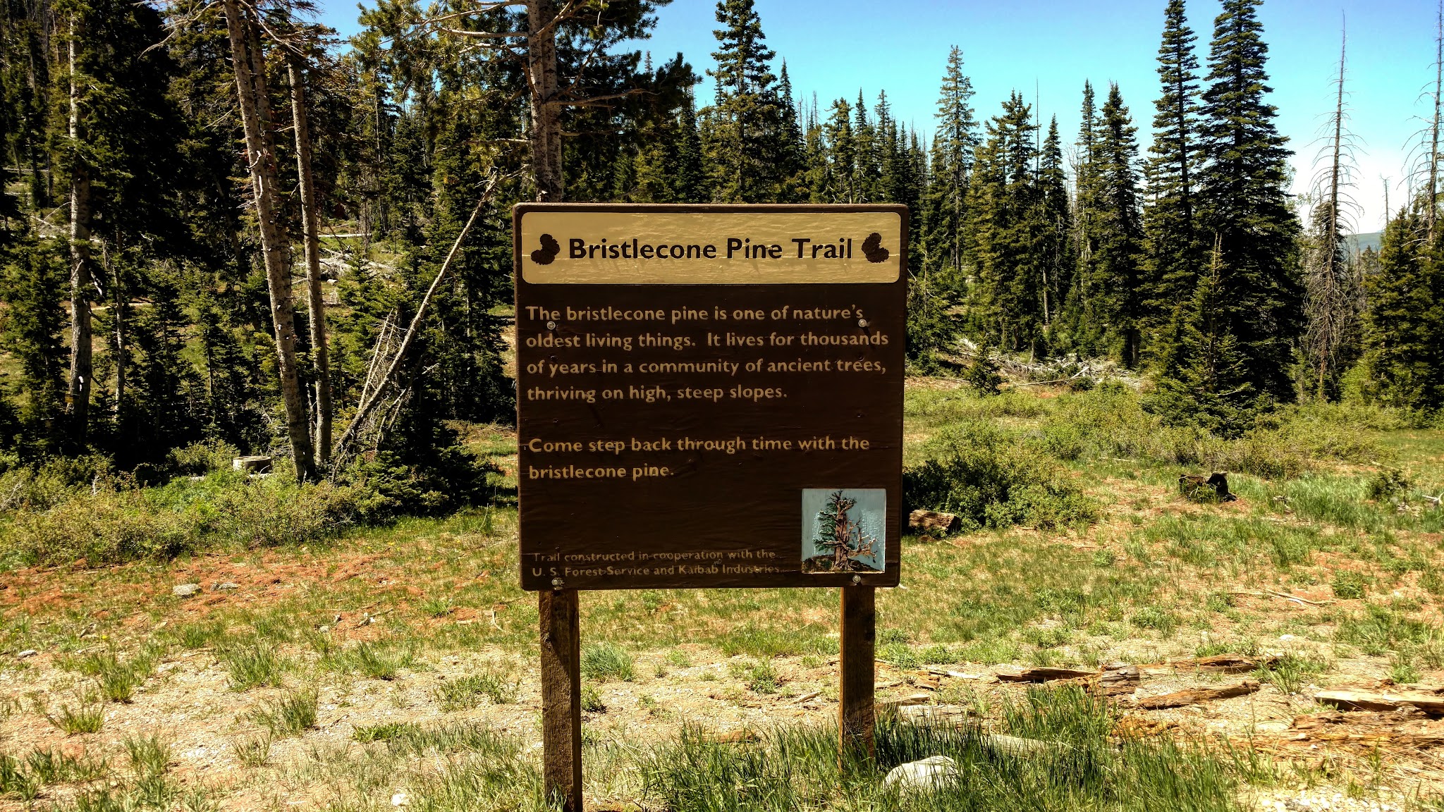 IMG_20160618_230003_Summit.jpg
