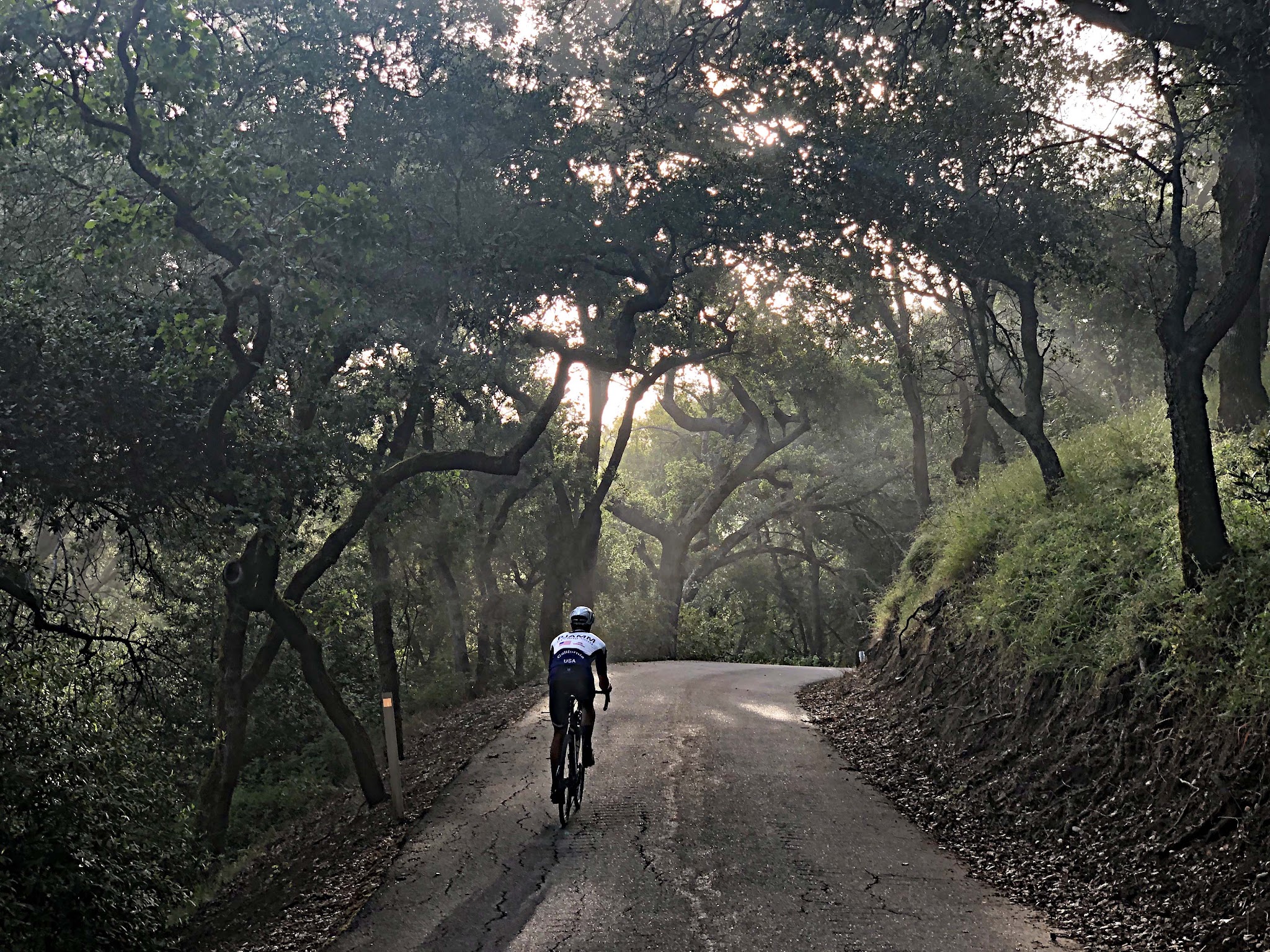 Climbing Welch Creek Road by bike - start of climb