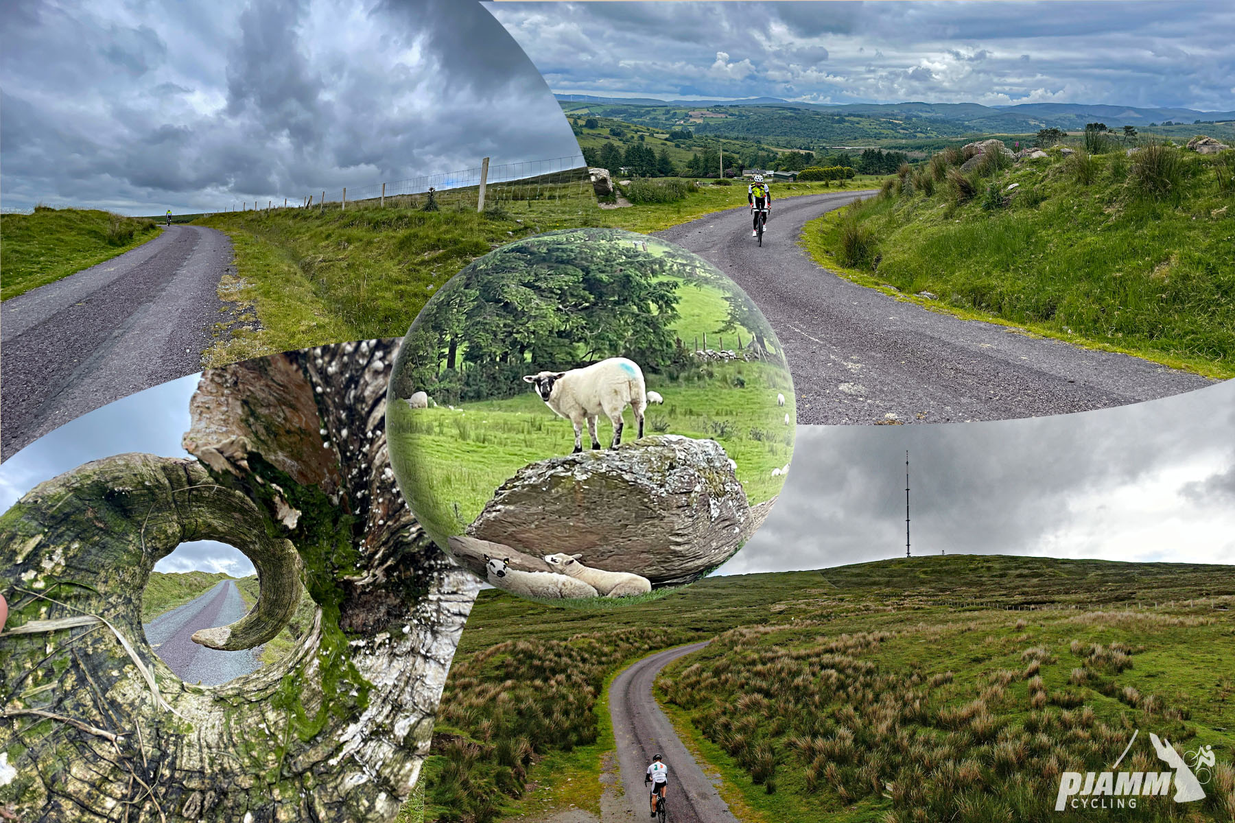 photo collage shows PJAMM Cyclist riding one-lane roadway surrounded by Irish hillsides, sheep standing on large stone