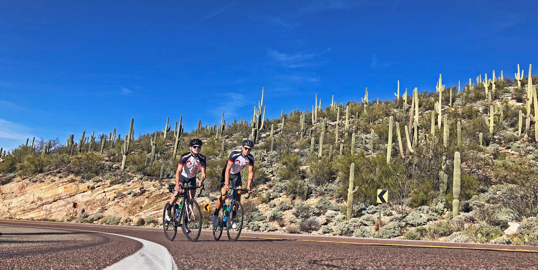 Cycling Mt. Lemmon, Arizona - two PJAMM Cyclists ride on pavement surrounded by large Saguaro cacti