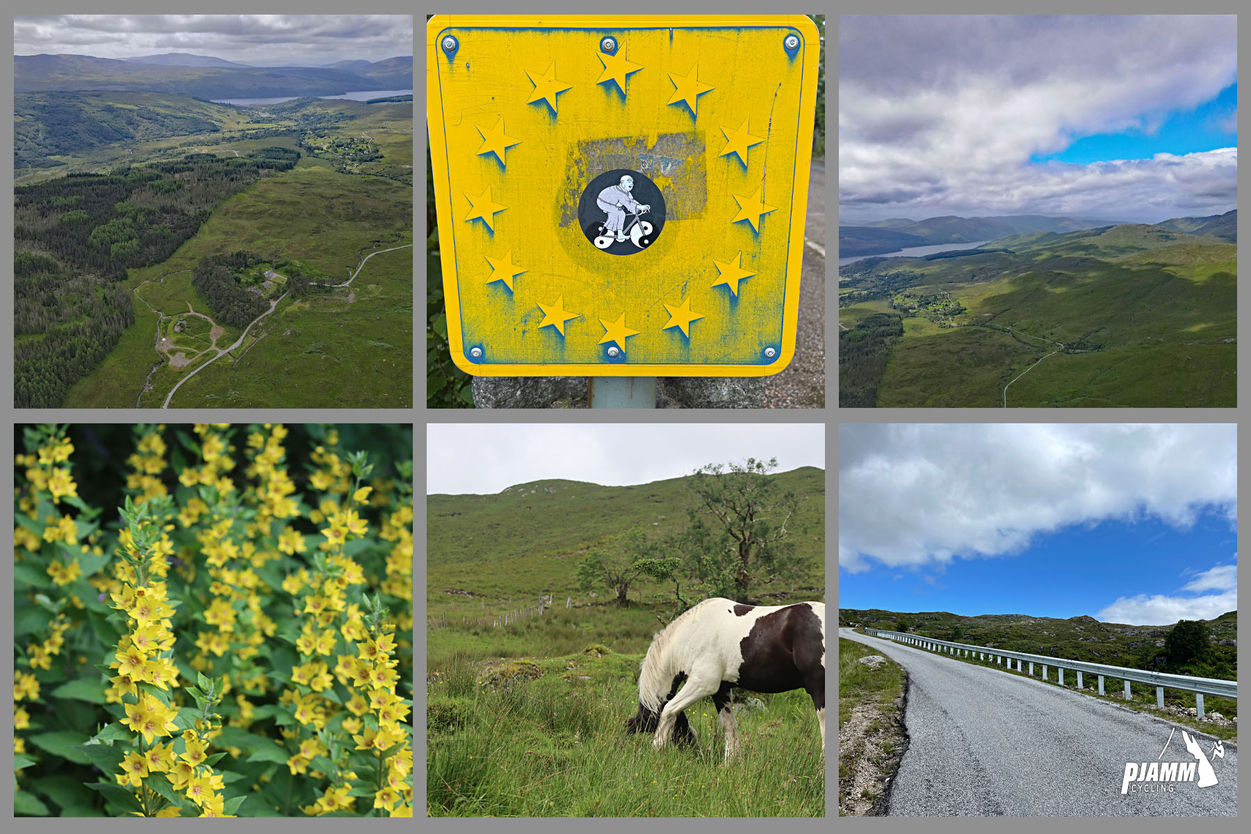 photo collage shows beautiful sights on Bealach Feith Nan Laogh climb, including yellow wildflowers, horse grazing in green pastureland