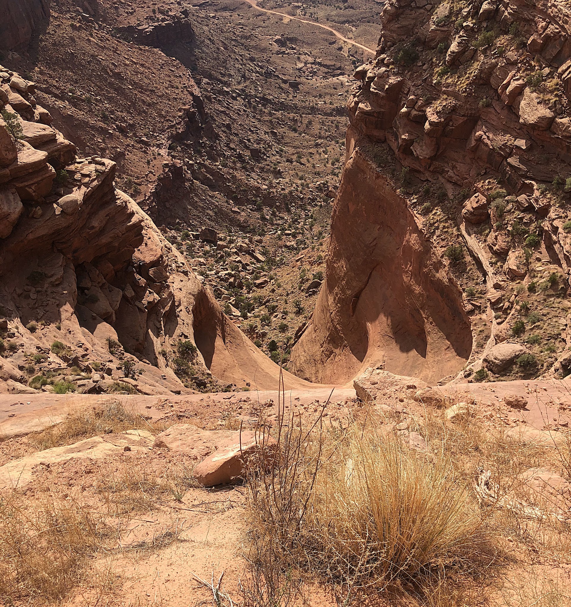 Cycling Shafer Trail, Canyonlands National Park - looking down directly off roadside to a sheer drop off down canyon
