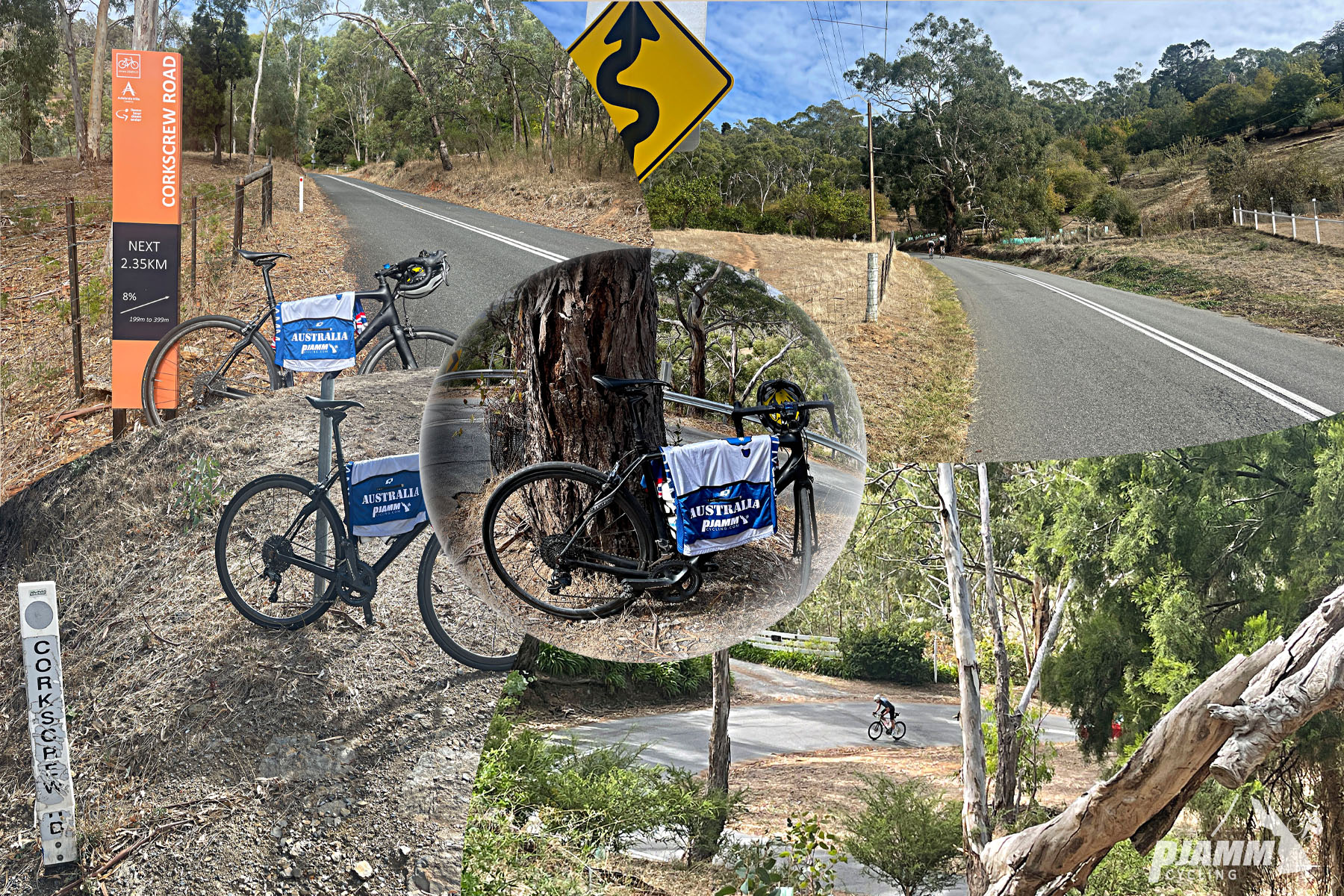 photo collage; road signs for Corkscrew Road; winding road signs, eucalyptus trees, PJAMM Cycling Australia jersey