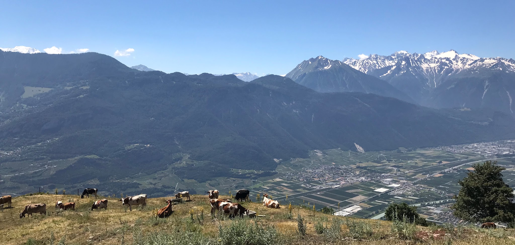 Cycling Fully Erie - mountains, martigny
