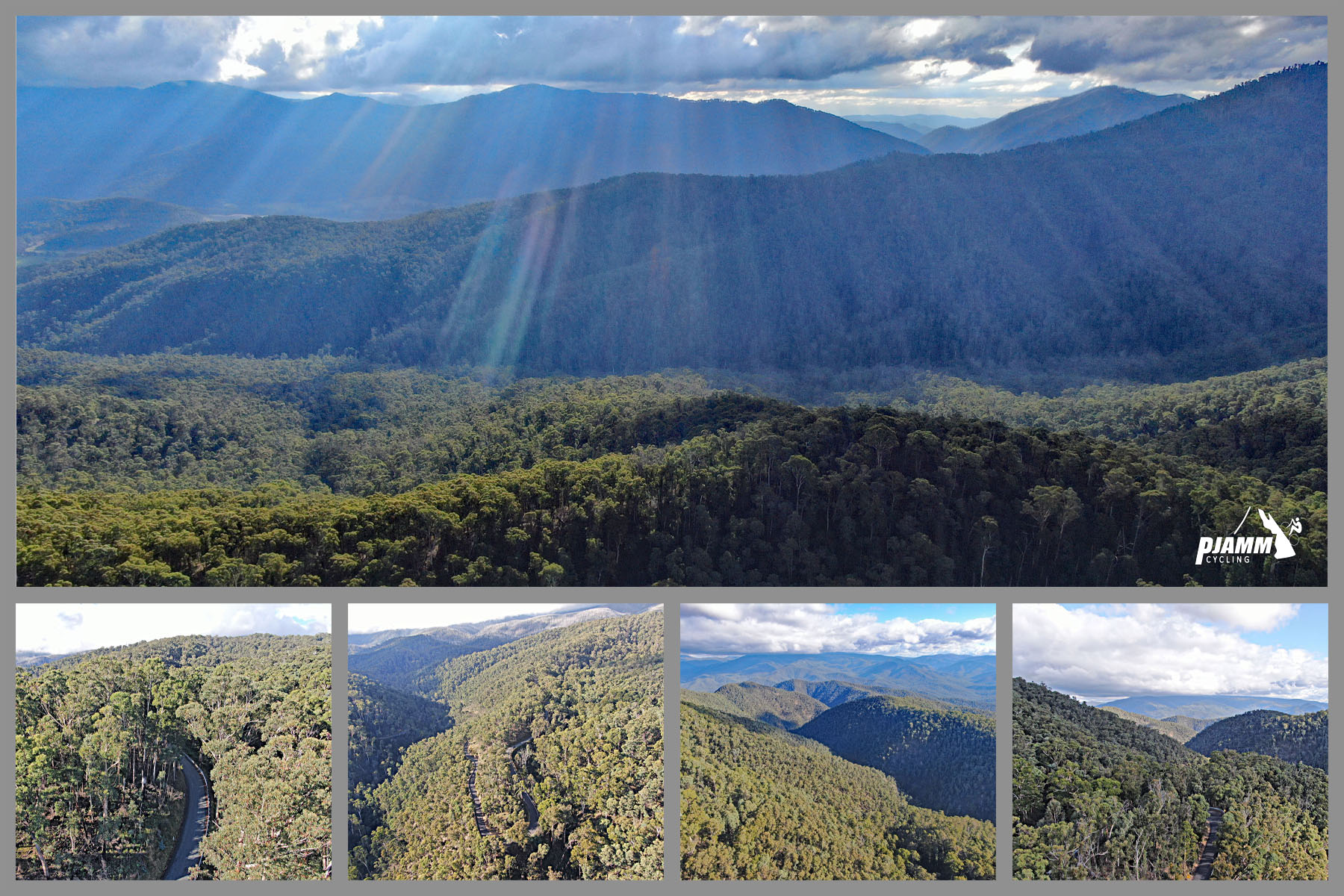 thick forestation covering the mountains
