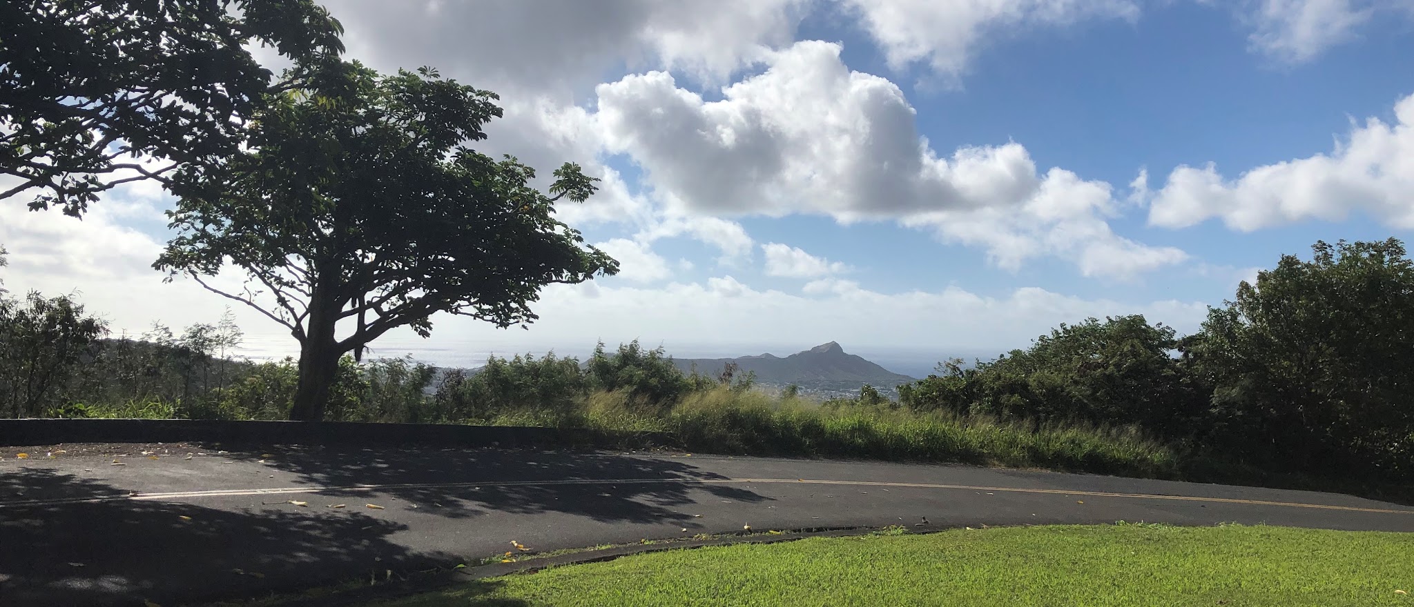 Bicycle ride Round Top Drive - views of Diamond Head and Honolulu 
