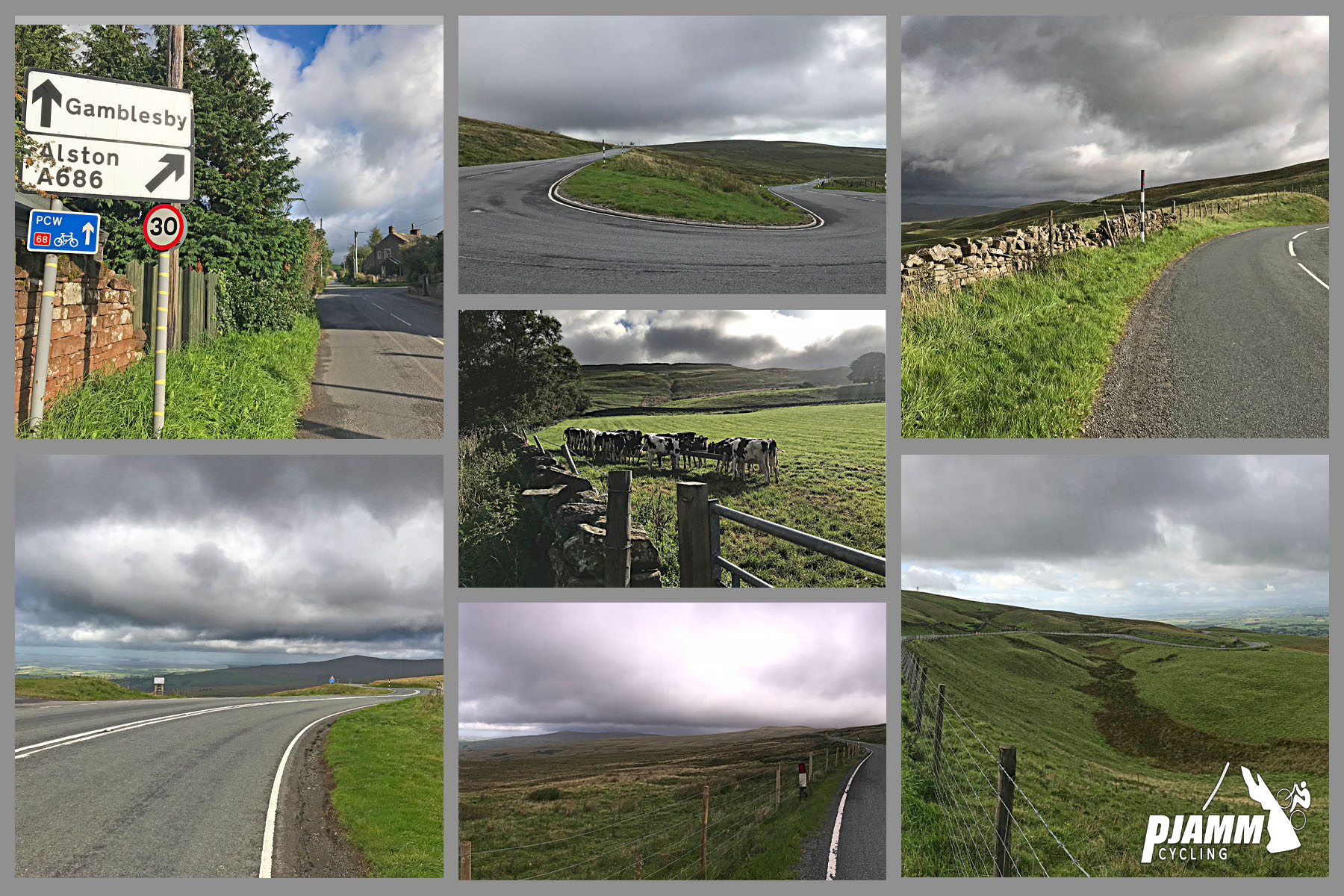Cycling Hartside, UK - road sign for Gamblesby and Alston, major curves in road, cows grazing in pastureland, stone fence along roadside, PJAMM Cycling logo in corner