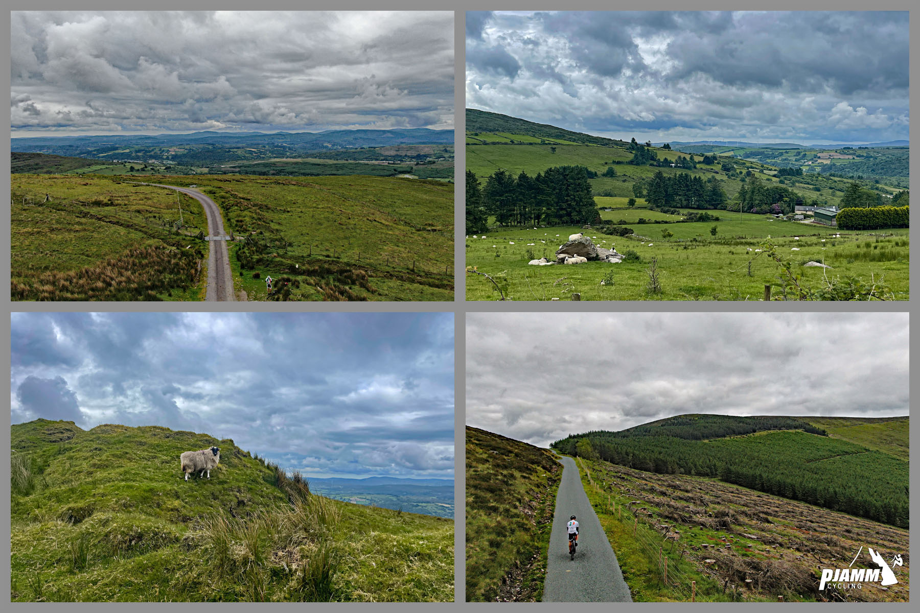 photo collage shows views toward top of climb - green pastures, sheep, long, straight, one-lane roadway