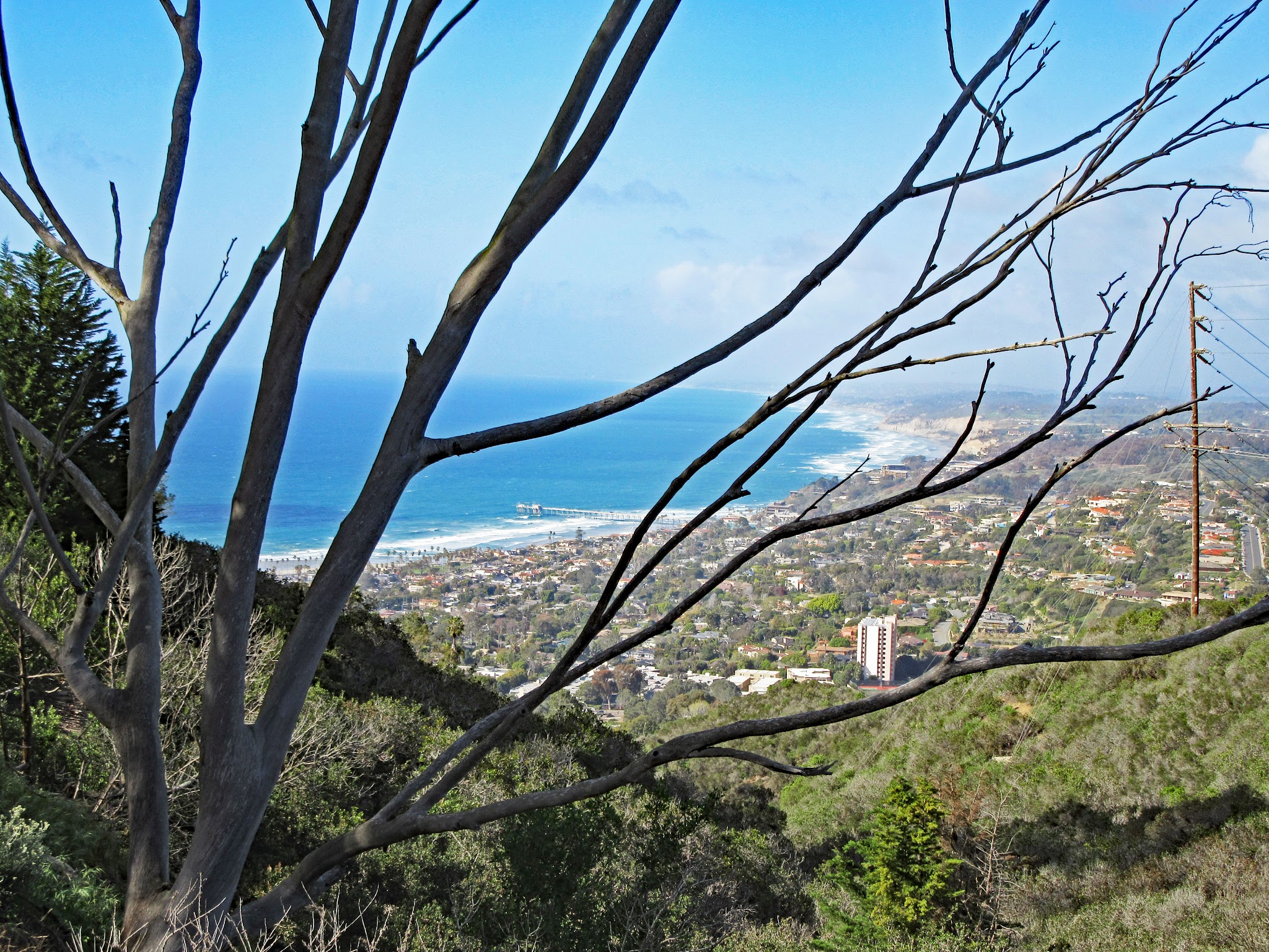 View looking down from summit, Scripps Pier and the Pacific Ocean