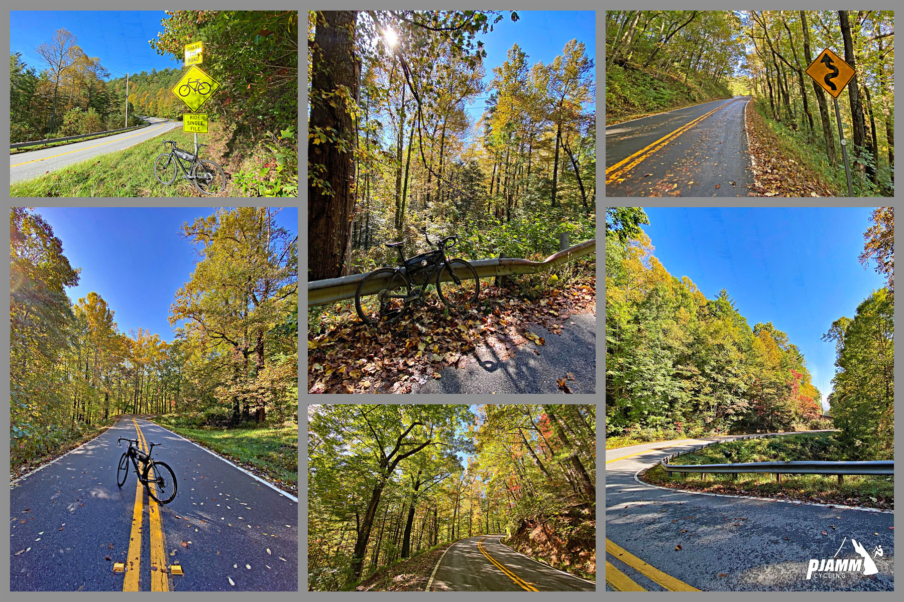 Cycling Wolfpen Gap East, Georgia - photo collage, bike parked at various points on first half of climb, dense thick trees with green and yellow foliage, PJAMM Cycling logo in corner