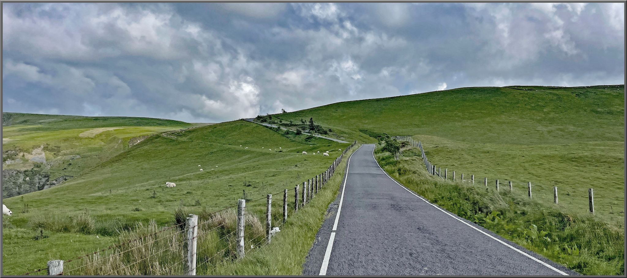 one lane country road surrounded by lush green pastureland