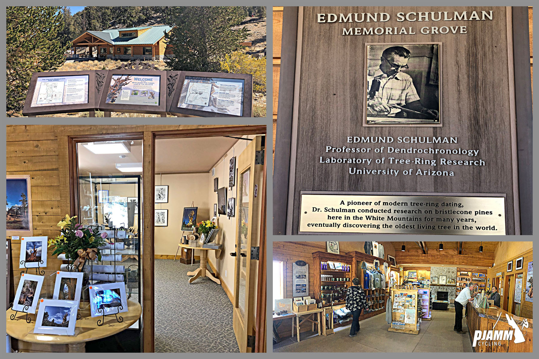 White Mountain Peak from Big Pine, California - views inside and outside of the Schulman Grove Visitor Center