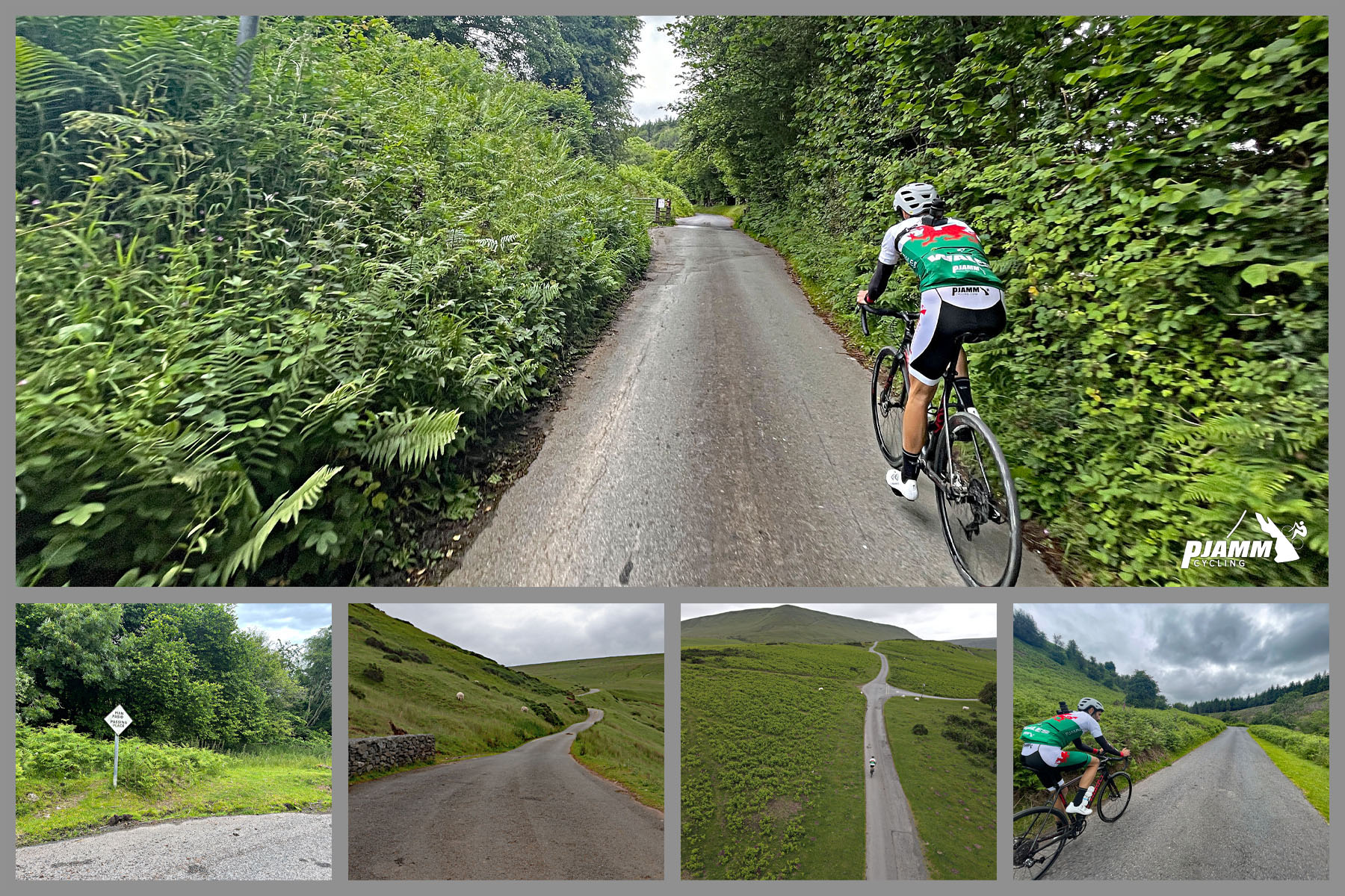 Cycling Gospel Pass North, Wales photo collage shows PJAMM Cyclist riding on one-lane roadway surrounded by ferns and ivy, then opening up to green pastureland