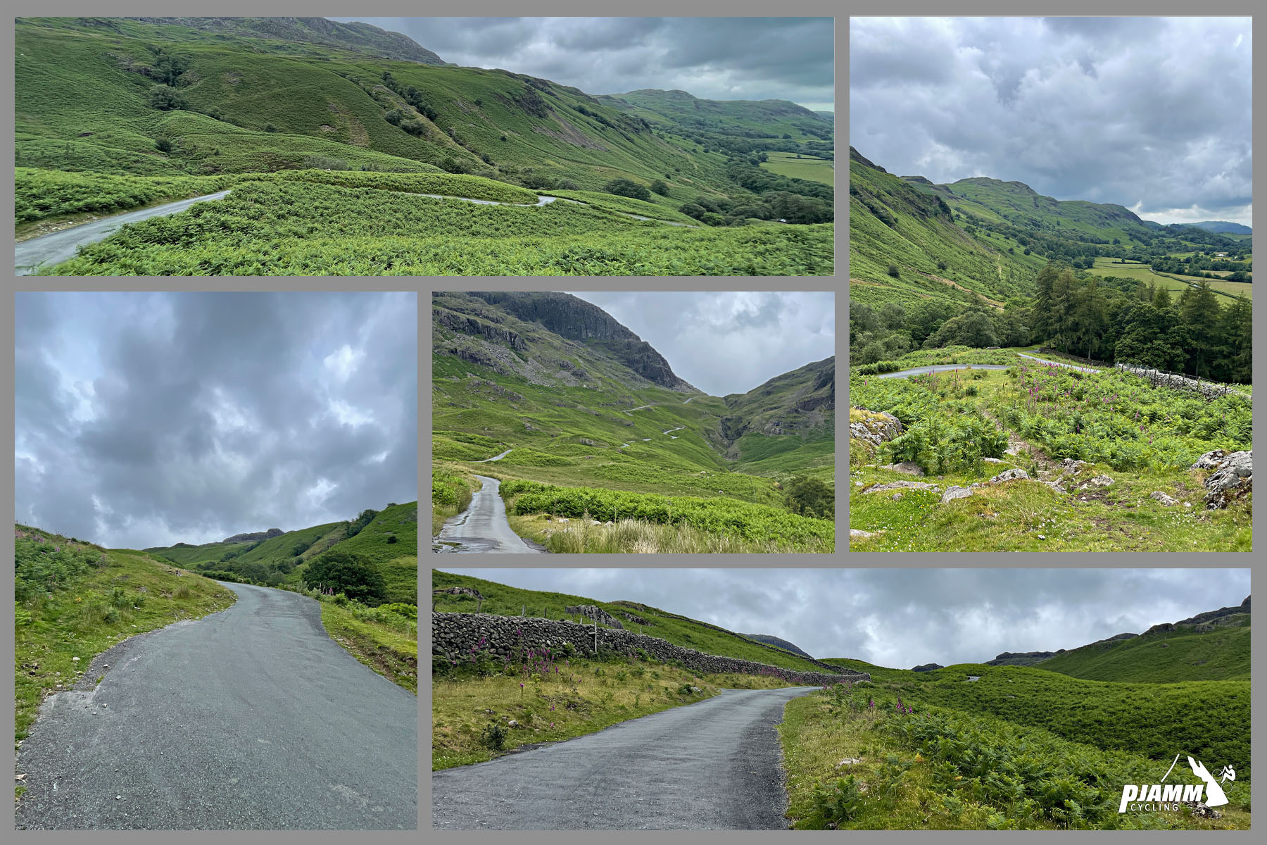 photo collage shows views of green heather surrounding roadside