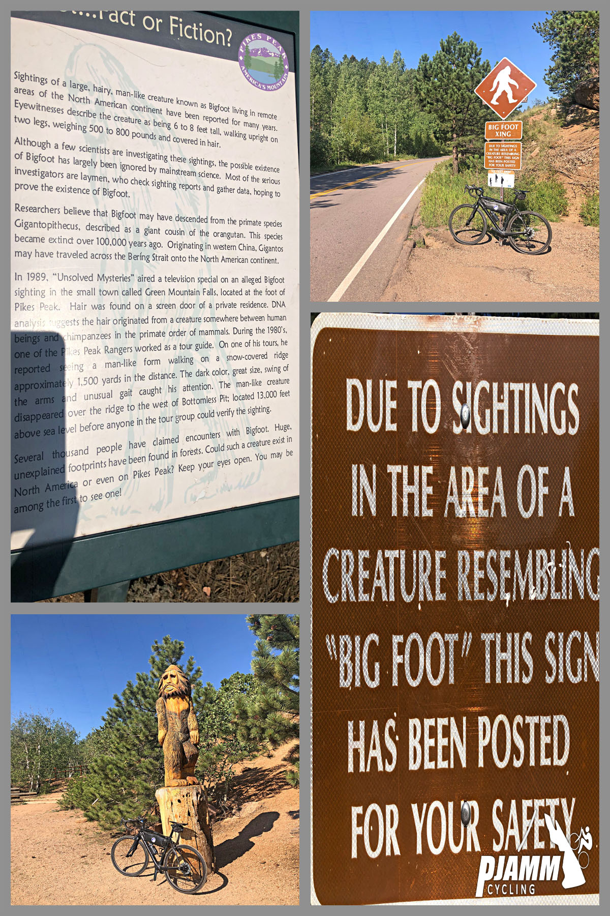 Cycling Pikes Peak - bike parked against wooden sculpture of Bigfoot, bike parked against road sign with image of Bigfoot, sign reading "Due to sightings in the area of a creature resembling Big Foot, this sign has been posted for your safety", PJAMM Cycling logo in corner