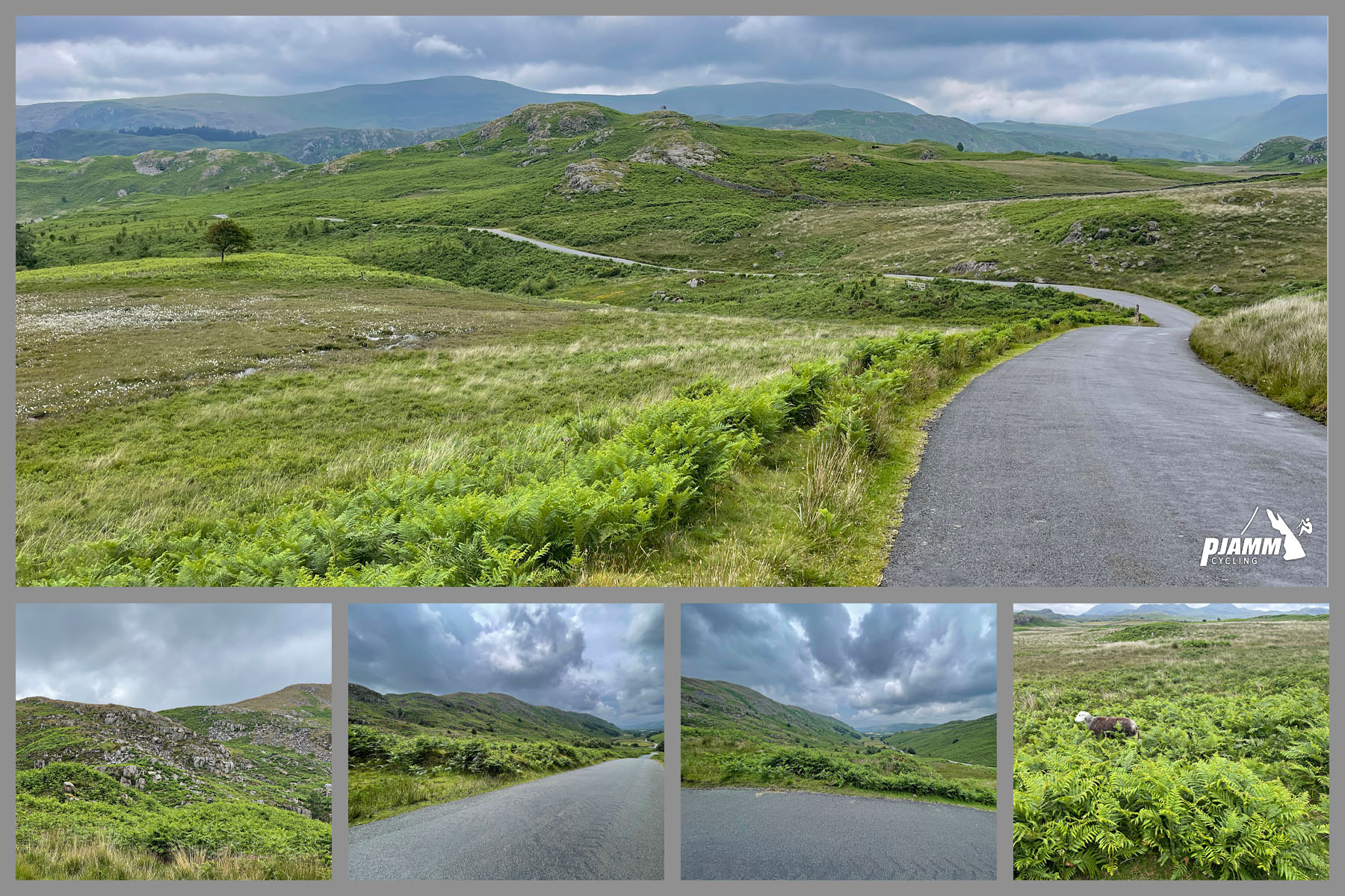 roadway traverses wide open pastureland with unobstructed views