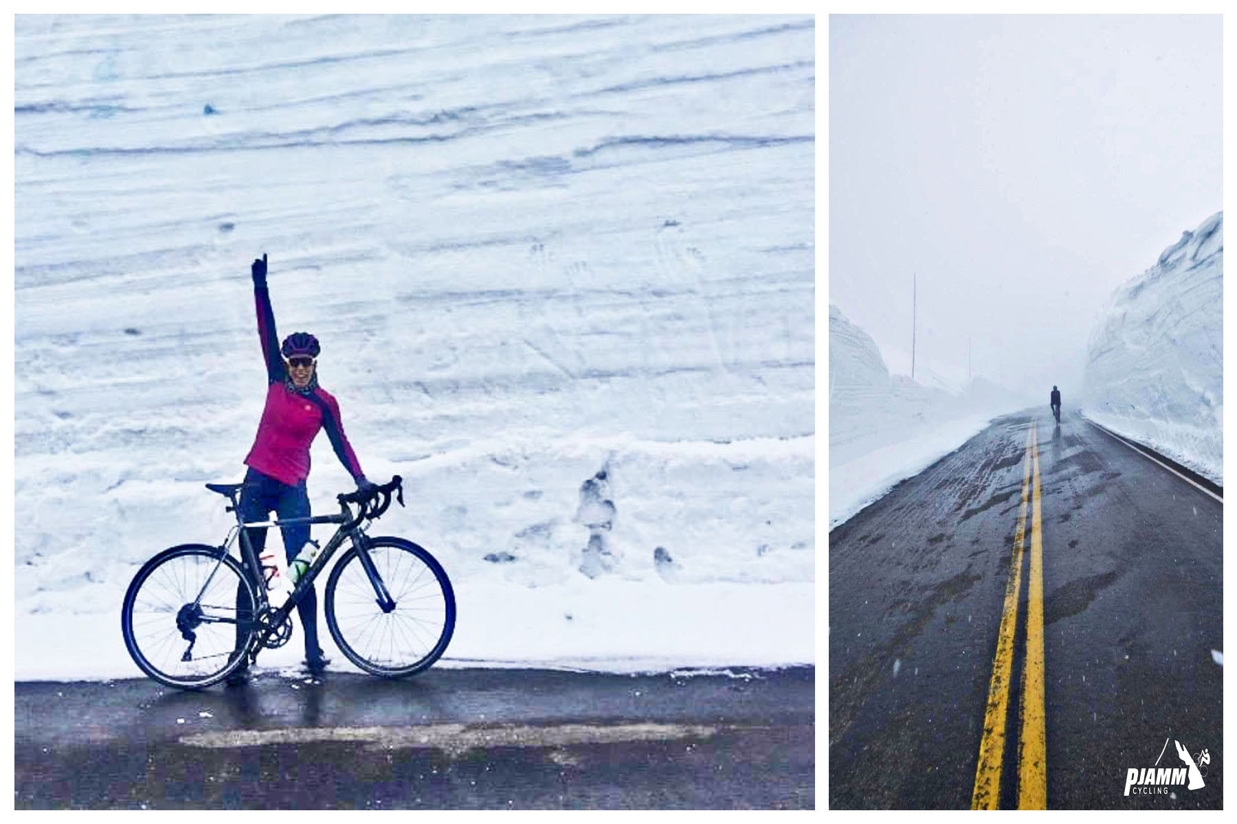 Cycling Trail Ridge, Colorado photo collage, PJAMM Cycling logo in corner, cyclist standing with bike on wet roadway in front of very tall wall of snow, cyclist riding down roadway surrounded by two very tall snow walls