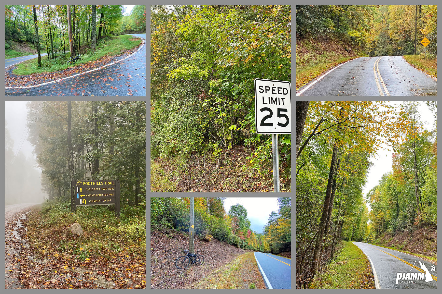 Cycling Sassafras Mountain, South Carolina - wet, two-lane roadway surrounded by dense forestation, misty air, PJAMM Cycling logo in corner
