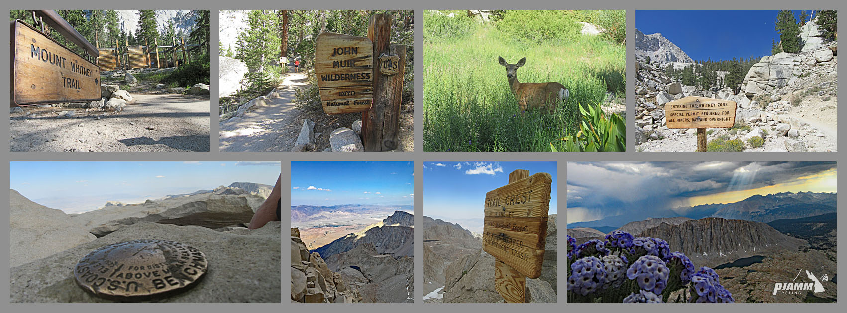 Views along the Mt. Whitney climb, including Geodesic Survey plaque marker, signs along the route, dear in a green valley, and wildflowers with panoramic views
