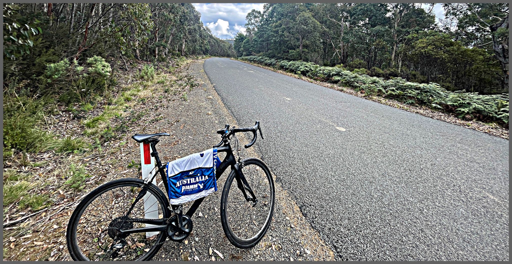bike with PJAMM Cycling Australia jersey draped over it parked next to roadside, dense forestation
