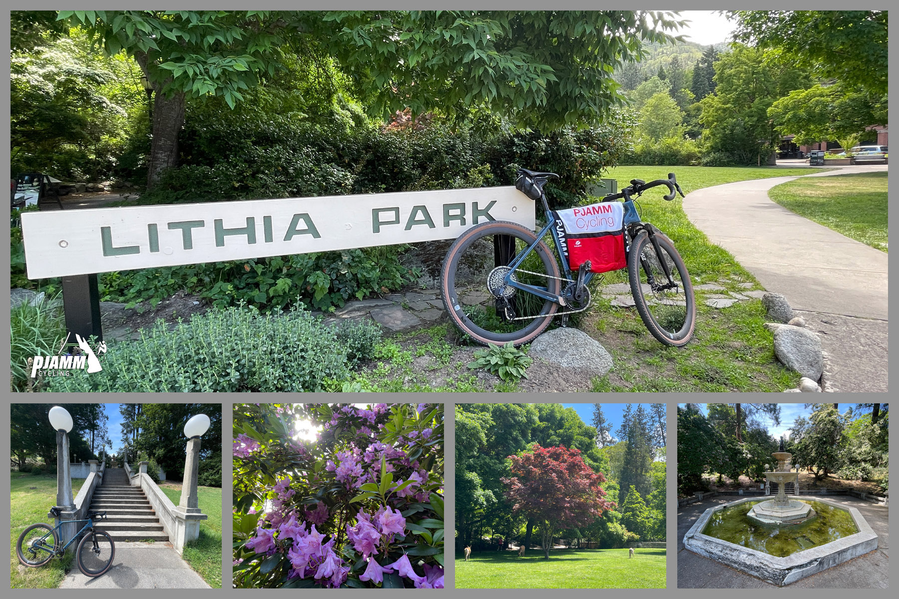 Cycling Mt. Ashland, Oregon via Loop Road: photo collage shows lush green and floral scenes at Lithia Park, Ashland Oregon; PJAMM bike and jersey parked next to white Lithia Park sign; pink rhododendrons 