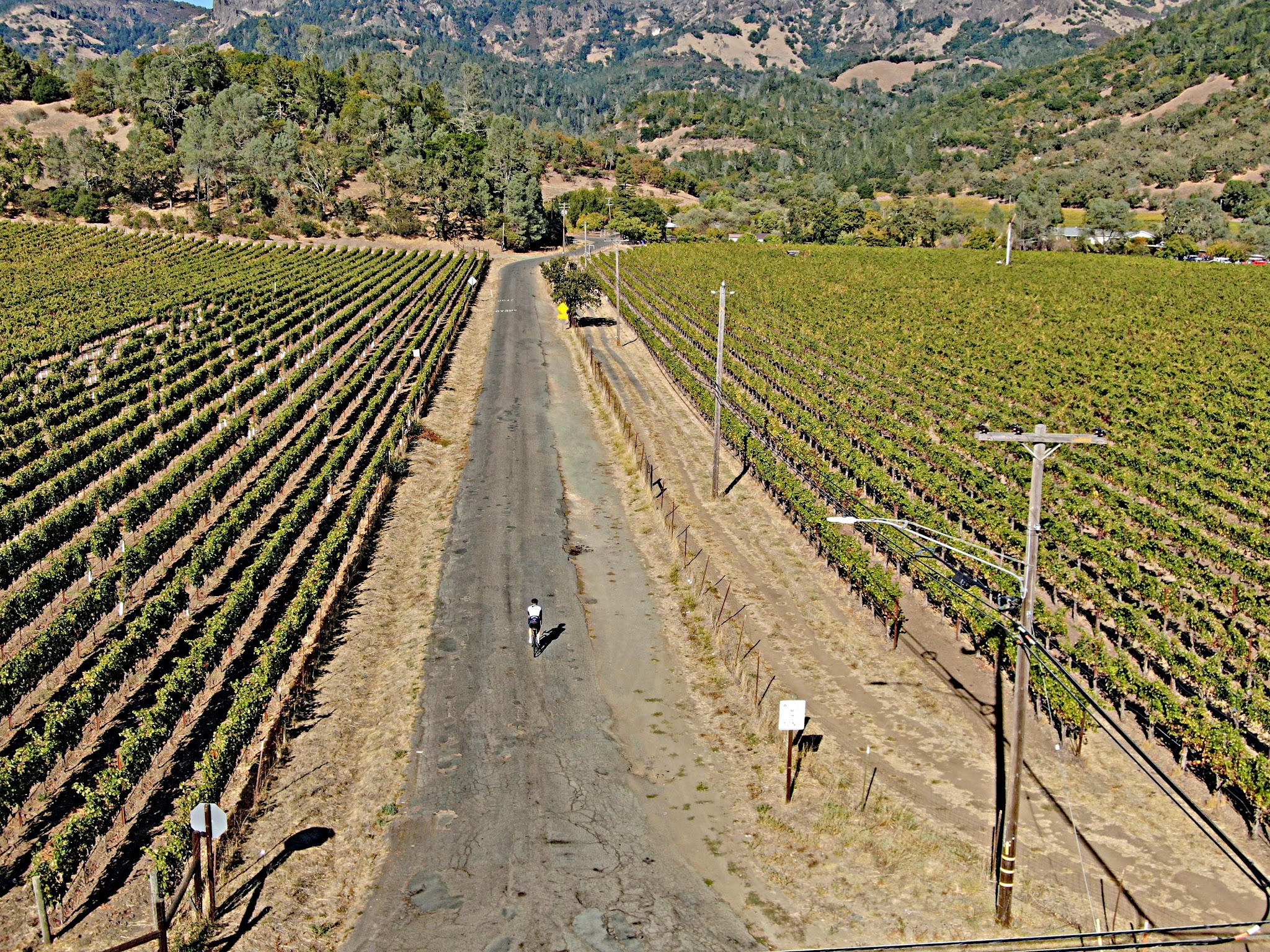 Bike climb Mt. St. Helena - start at Old Lawley Toll Road - street, vineyards, sign
