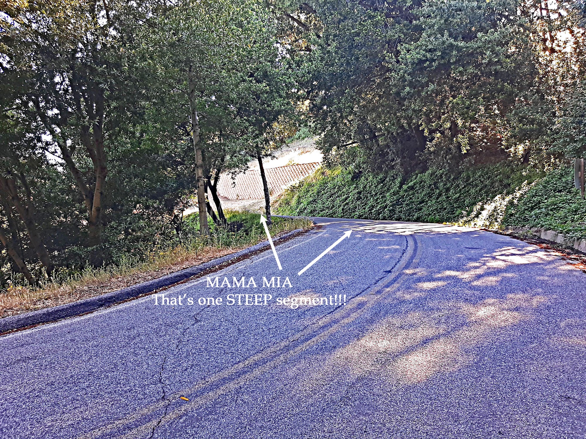 Cycling Bohlman On Orbit - view downhill on two lane road showing very steep gradient