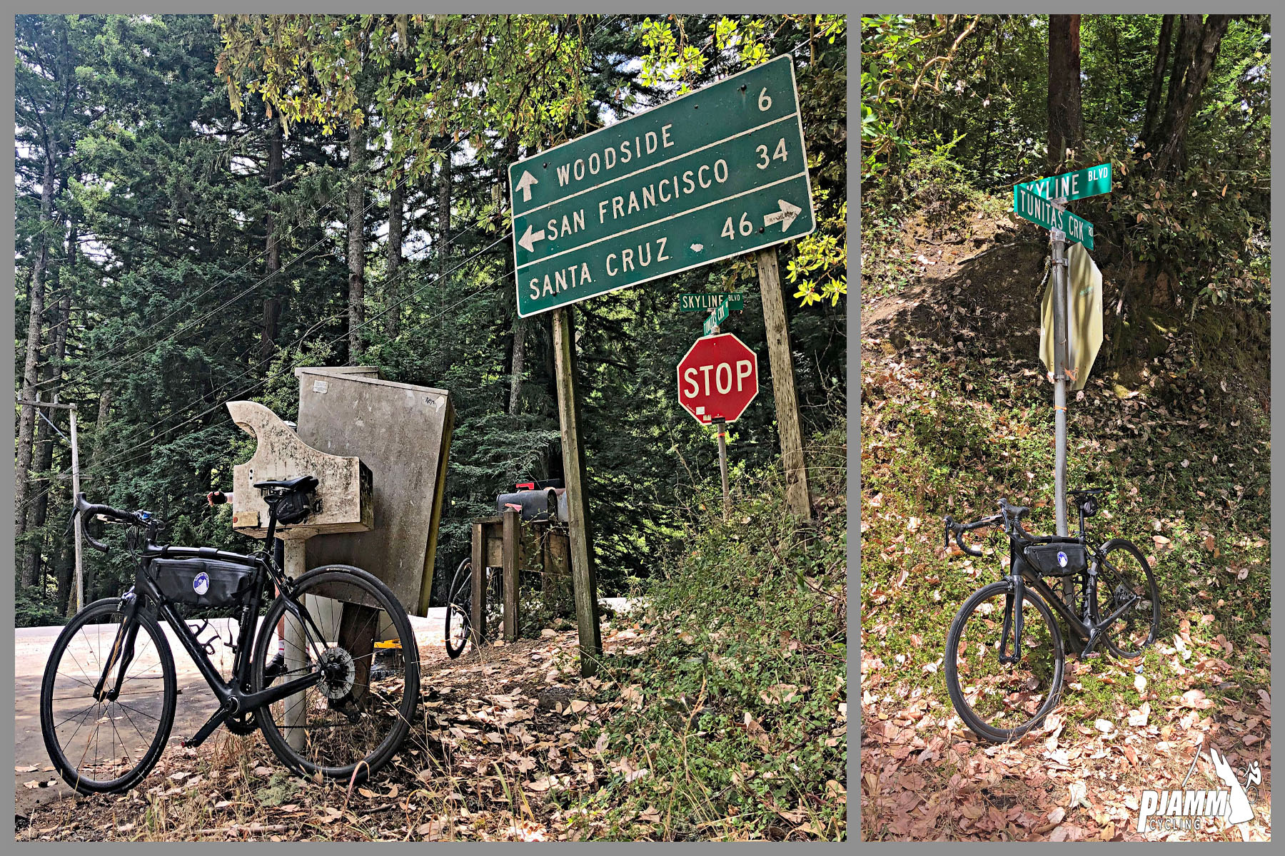 Cycling Tunitas Creek Road - bike leaning against wooden mailbox next to stop sign and road sign for Woodside, San Francisco, and Santa Cruz, dense tree coverage